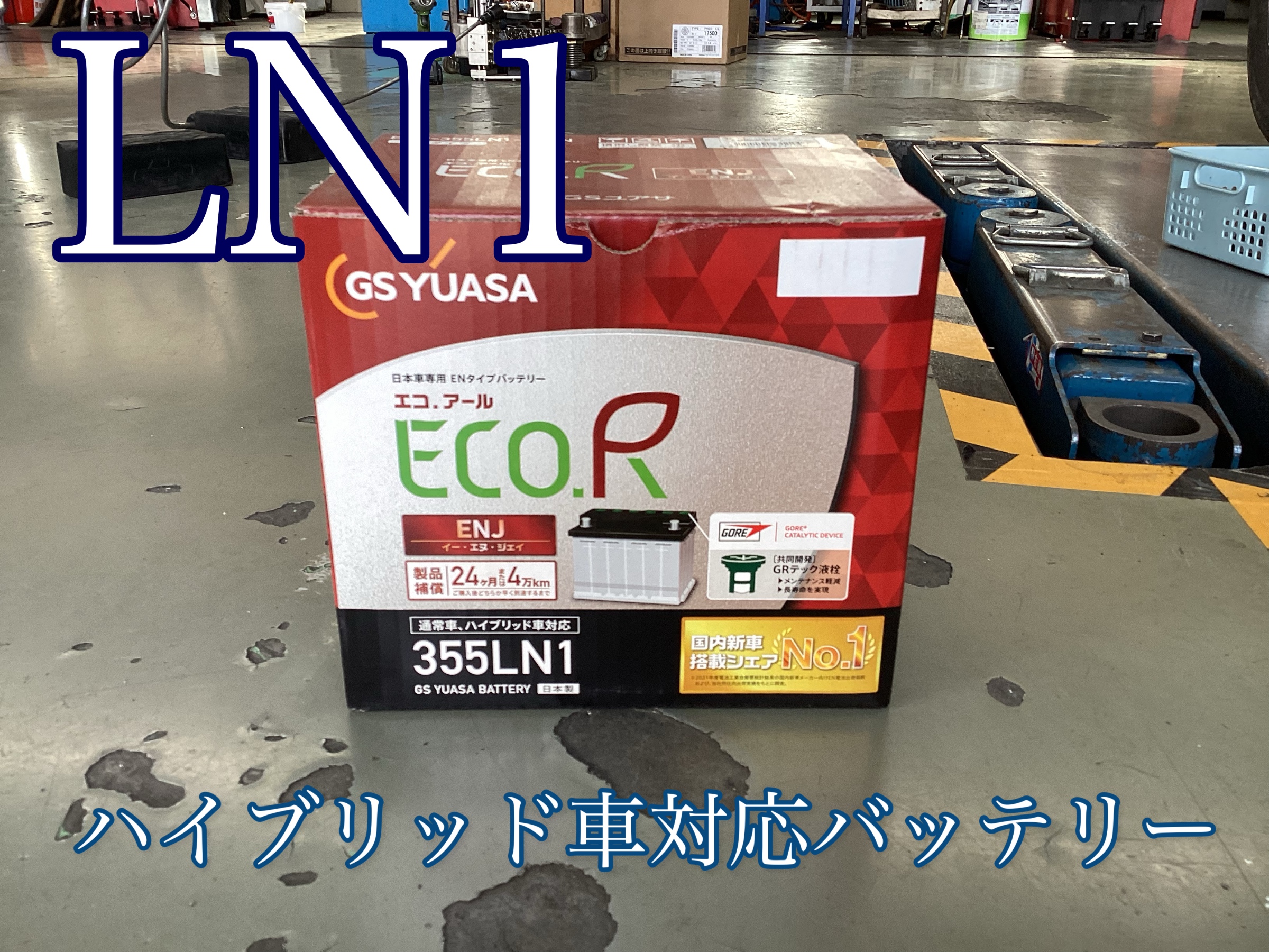 スタッフ撮影画像