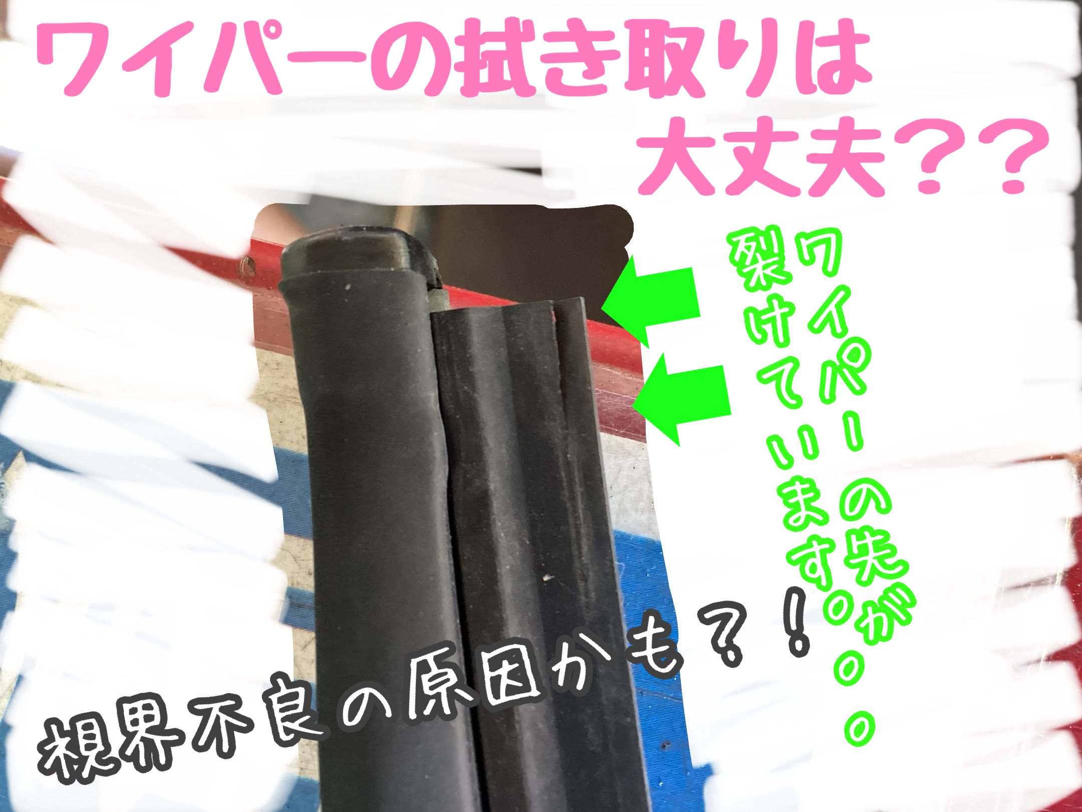 スタッフが撮影加工した画像