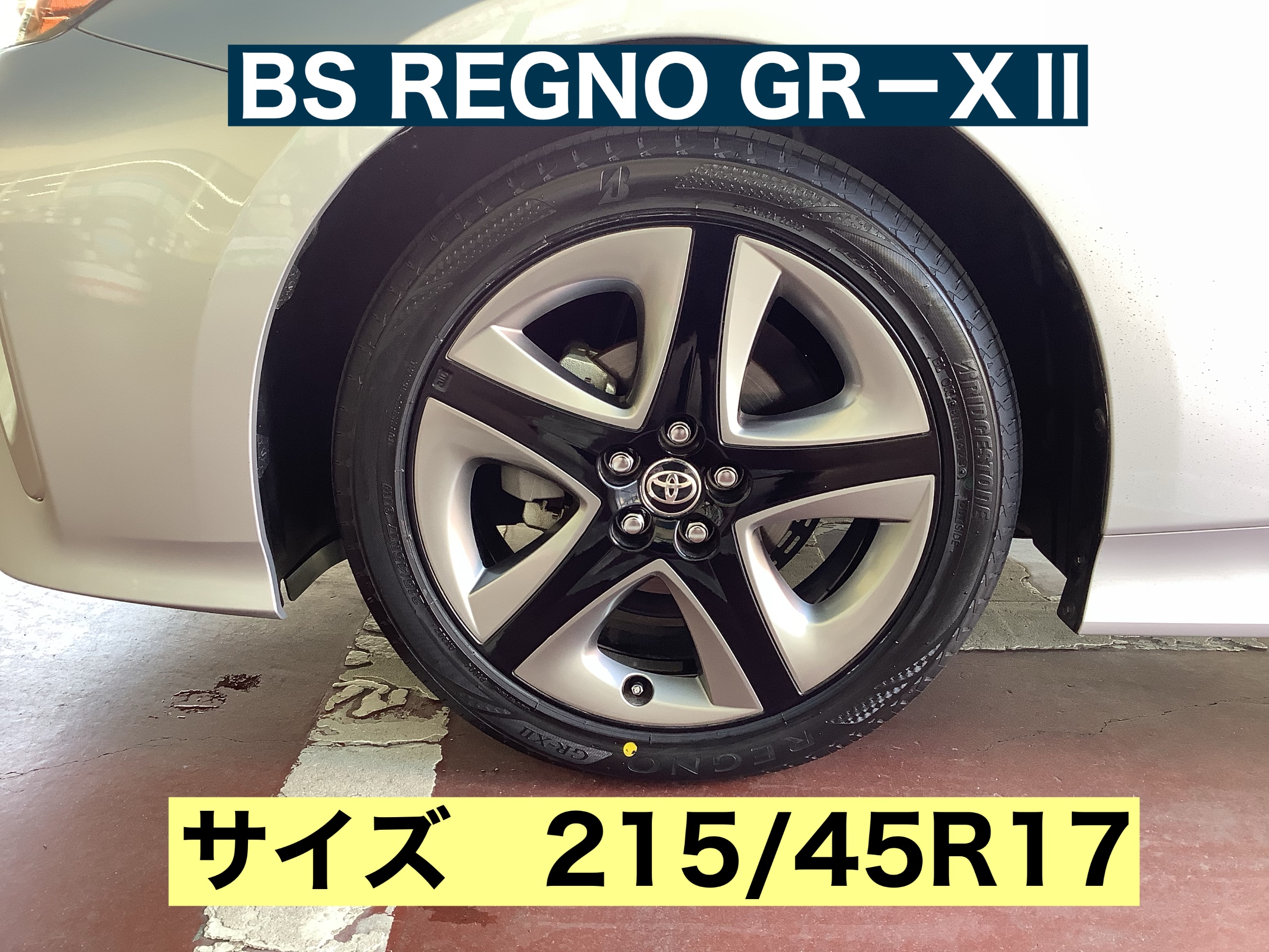 スタッフが撮影