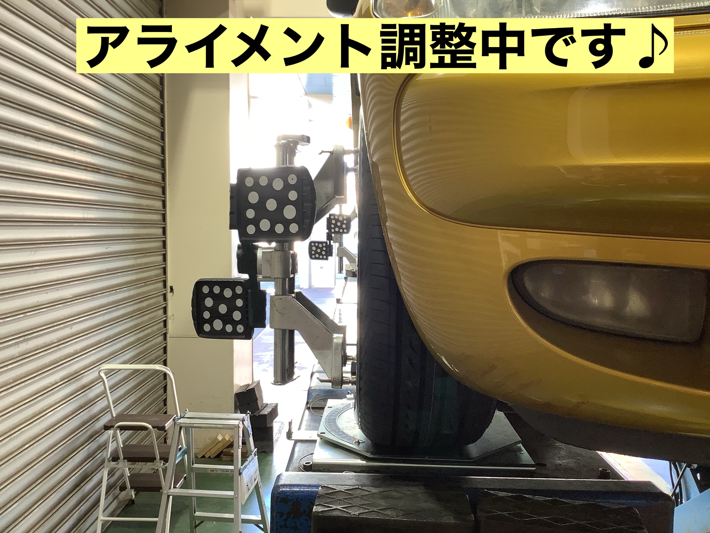 スタッフが撮影