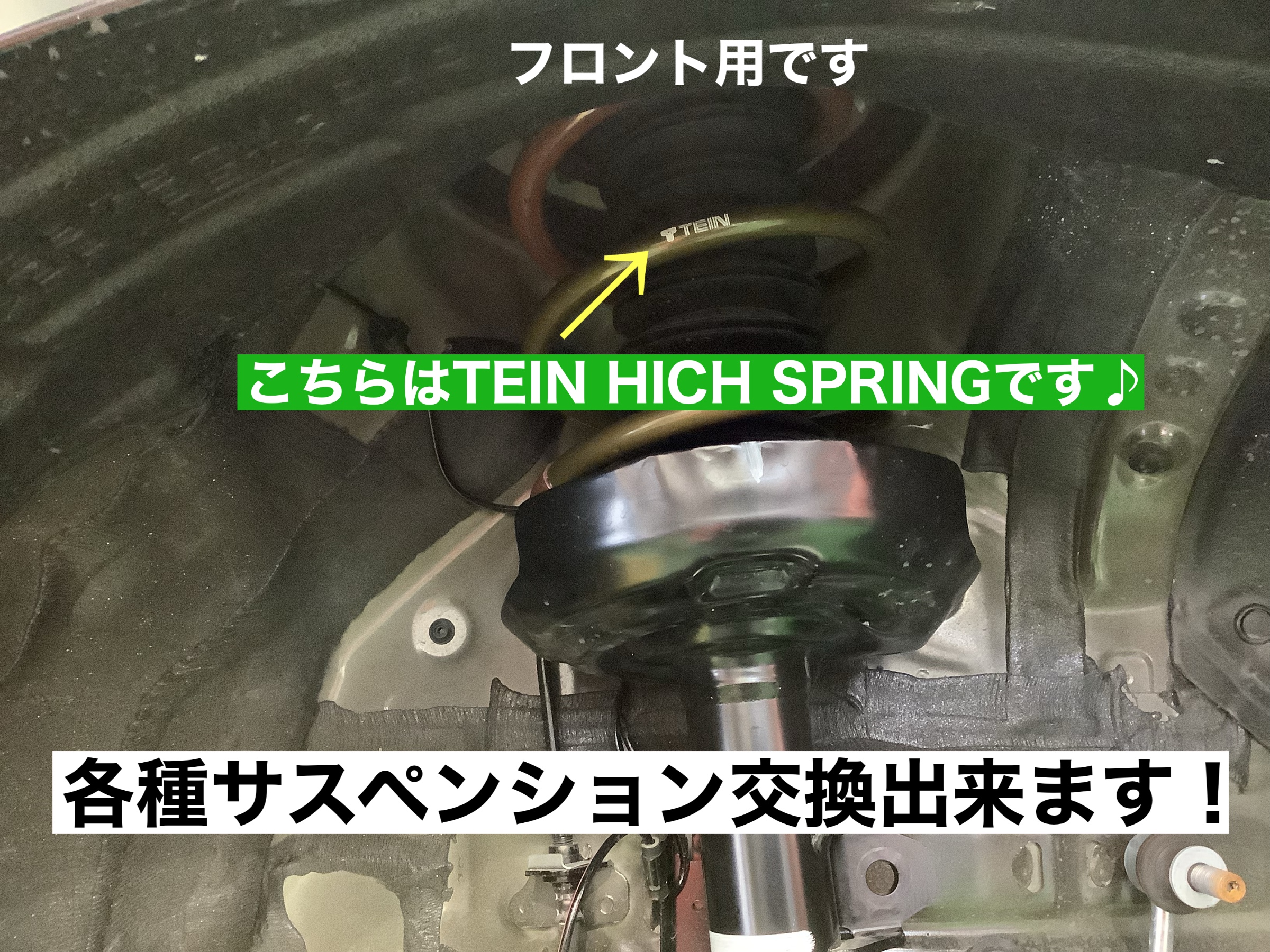 スタッフが撮影