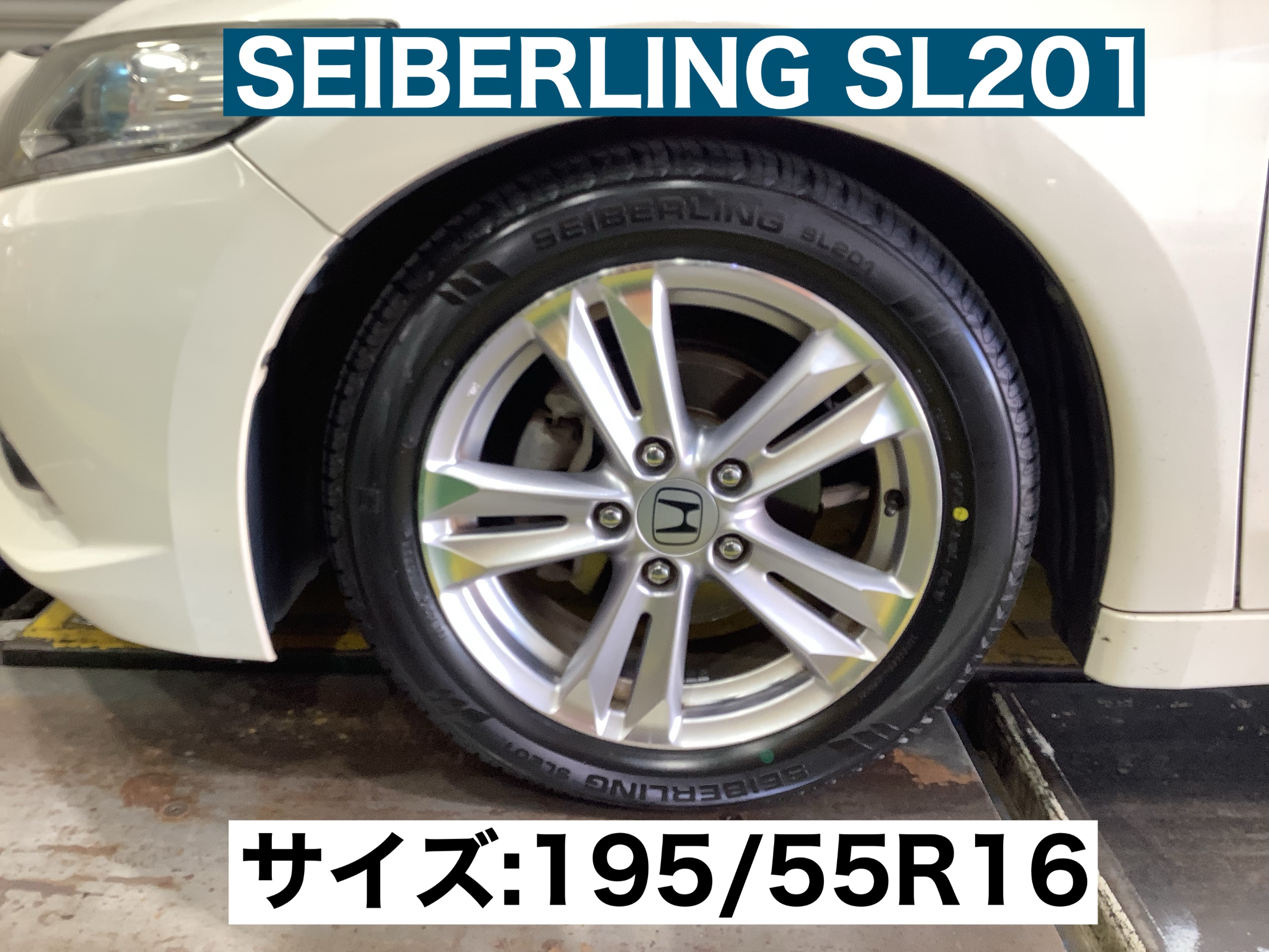 スタッフが撮影