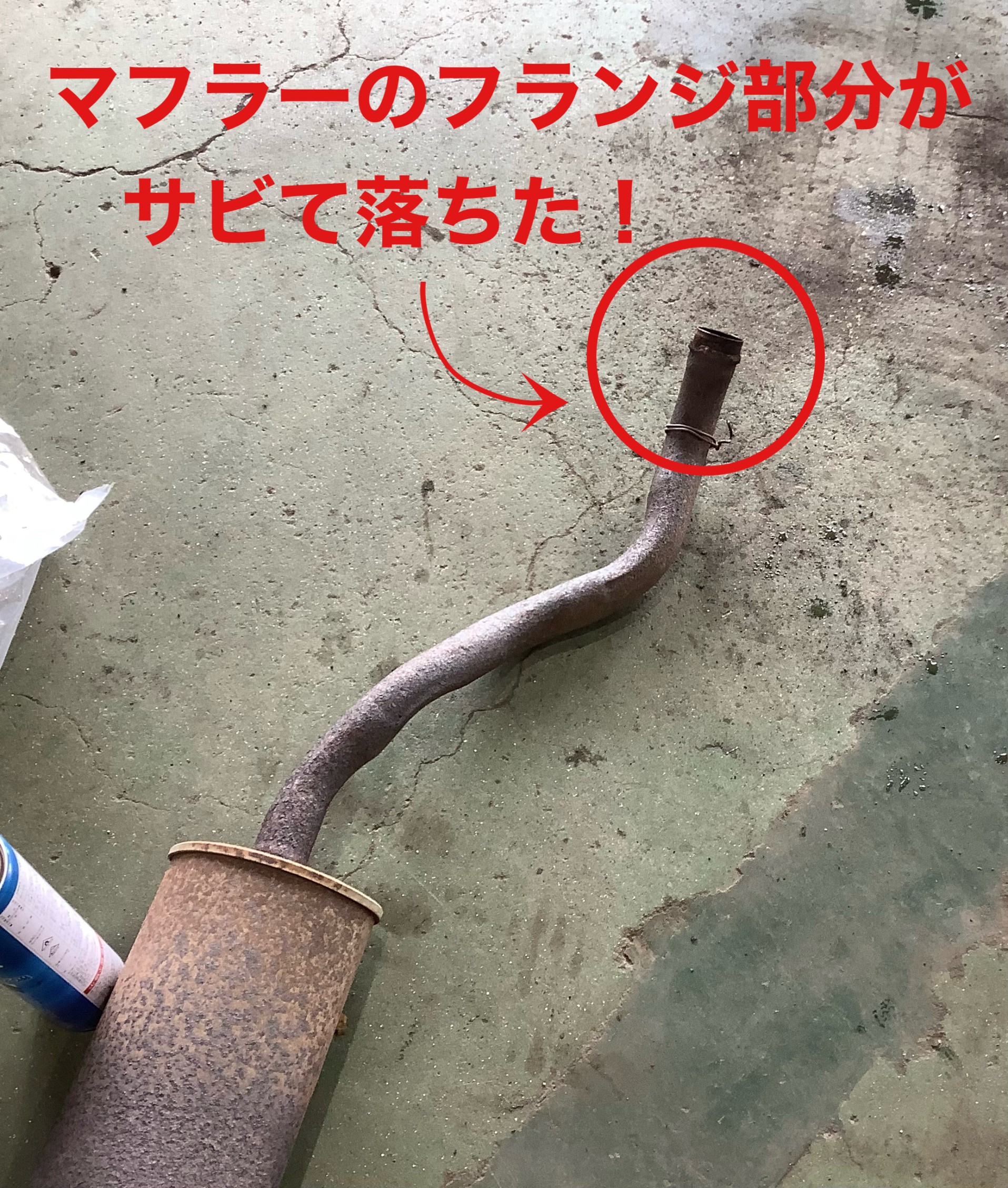 自店撮影です