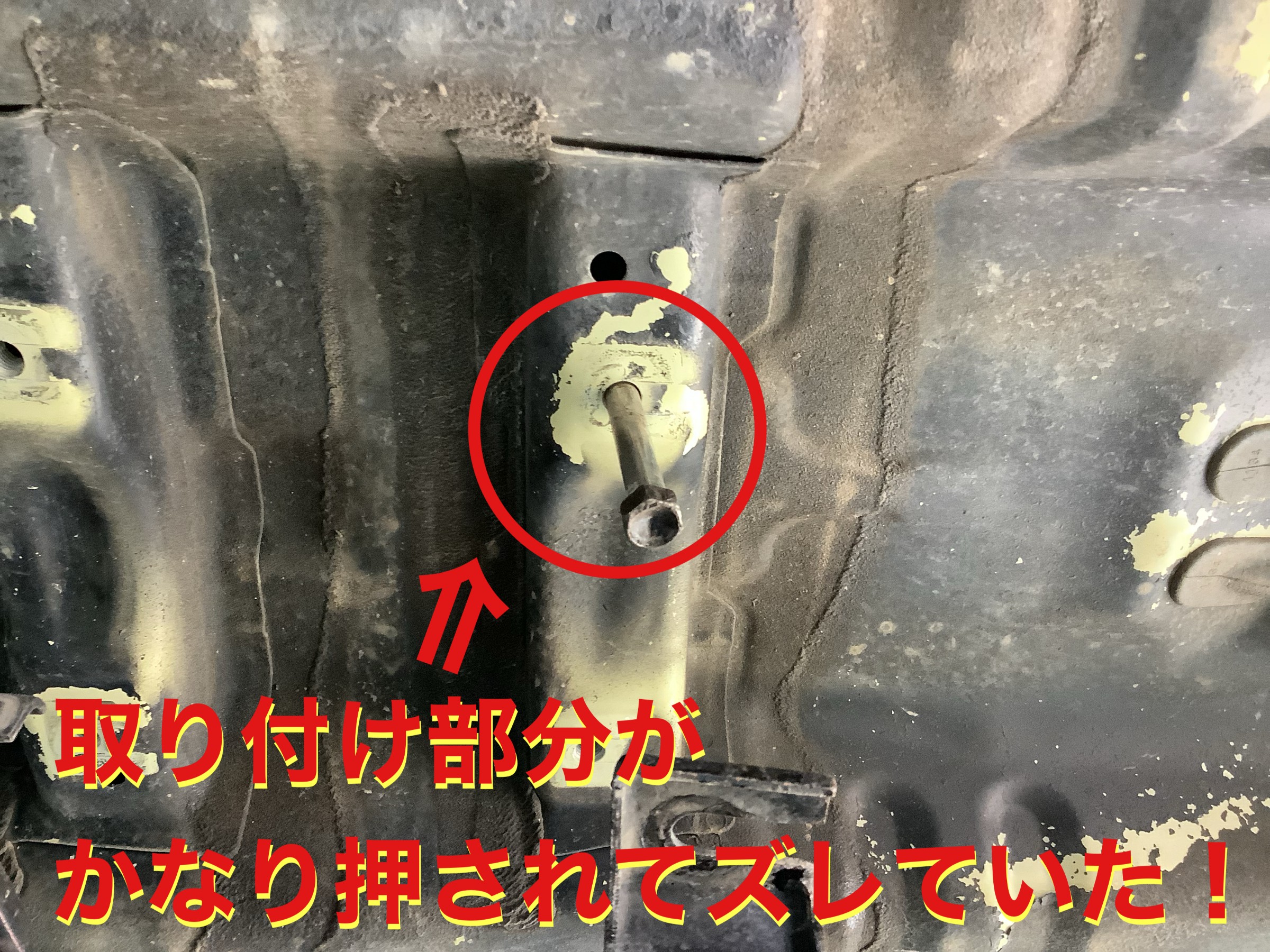 自店撮影です