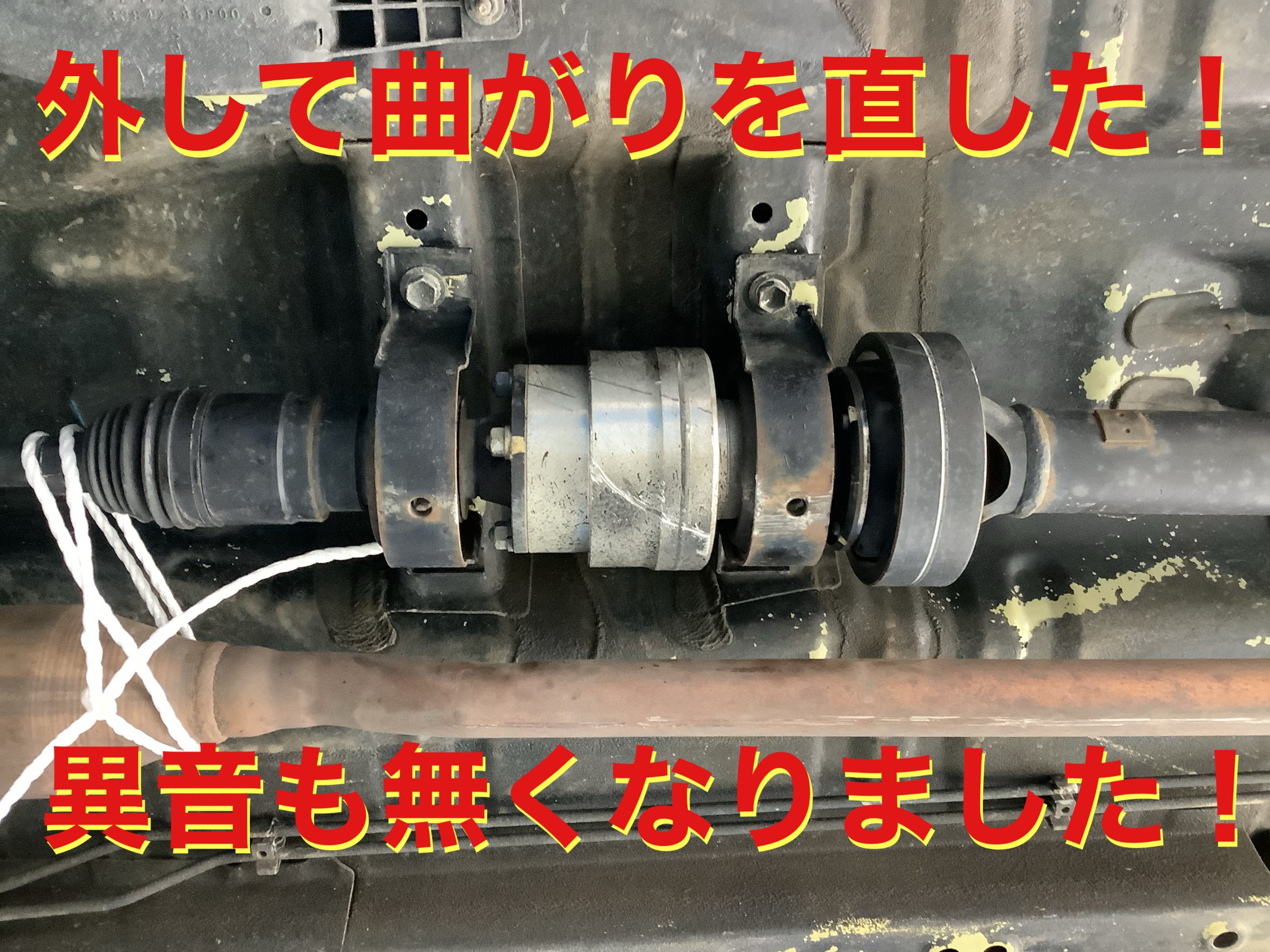 自店撮影です