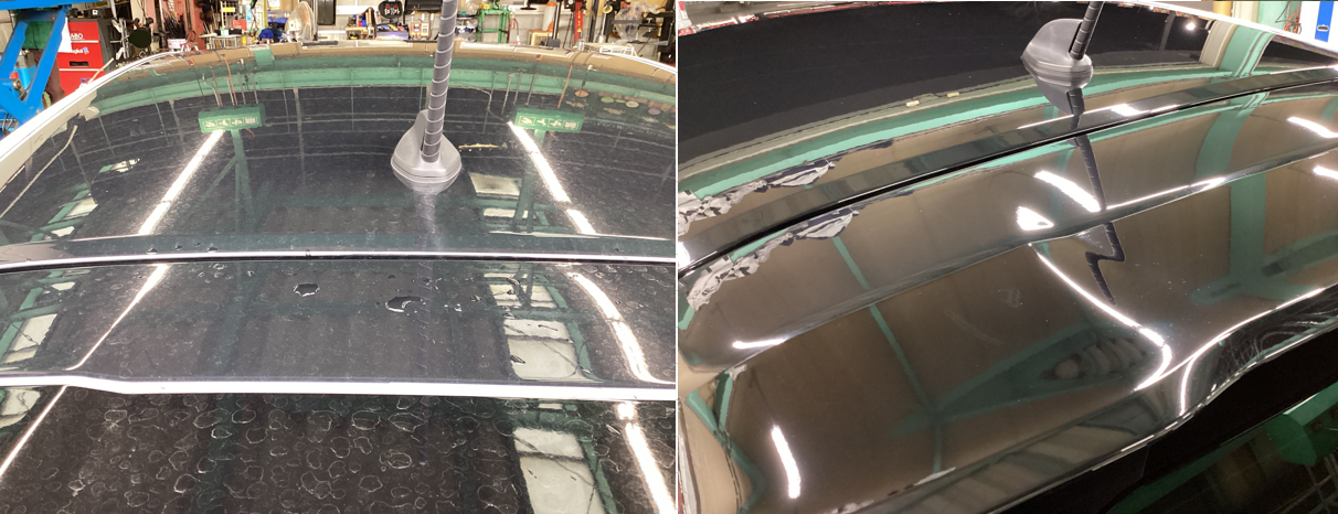 スタッフ撮影分