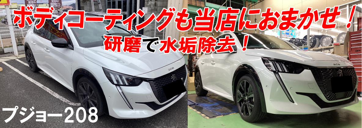 スタッフ撮影分