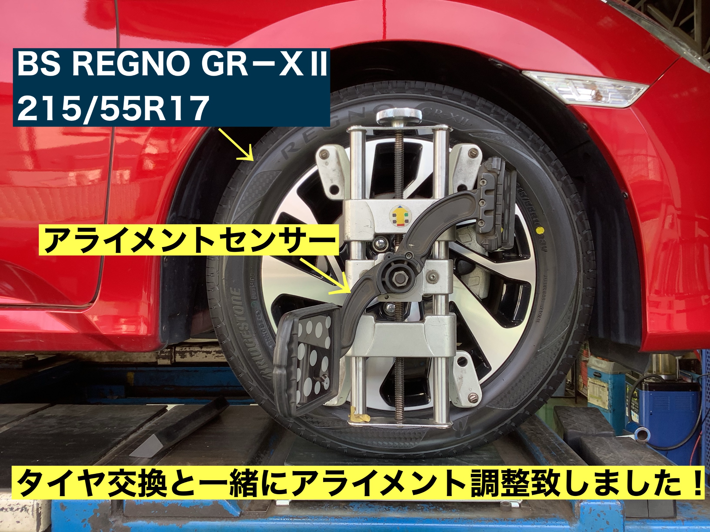 スタッフが撮影