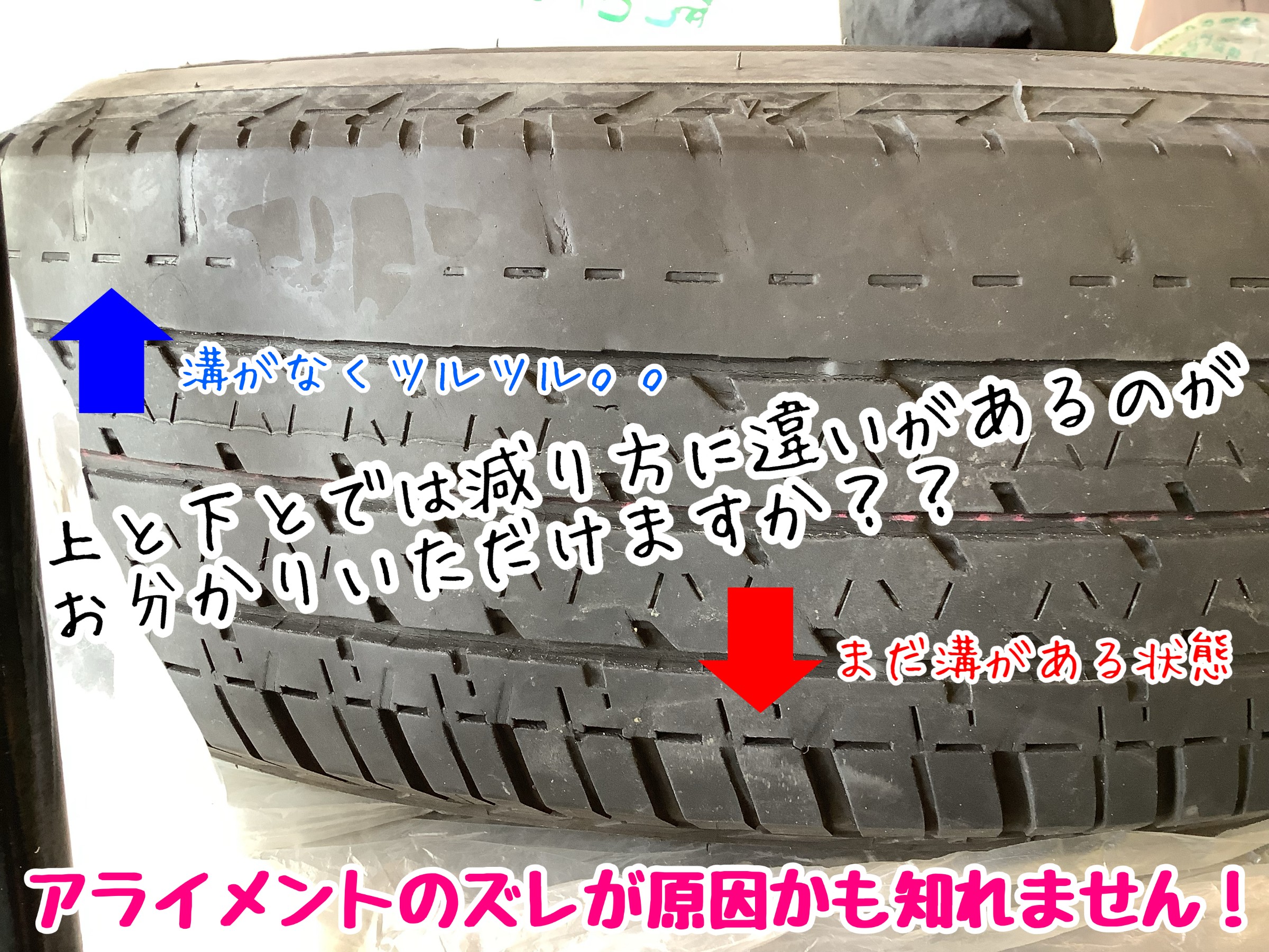 スタッフが撮影加工した画像