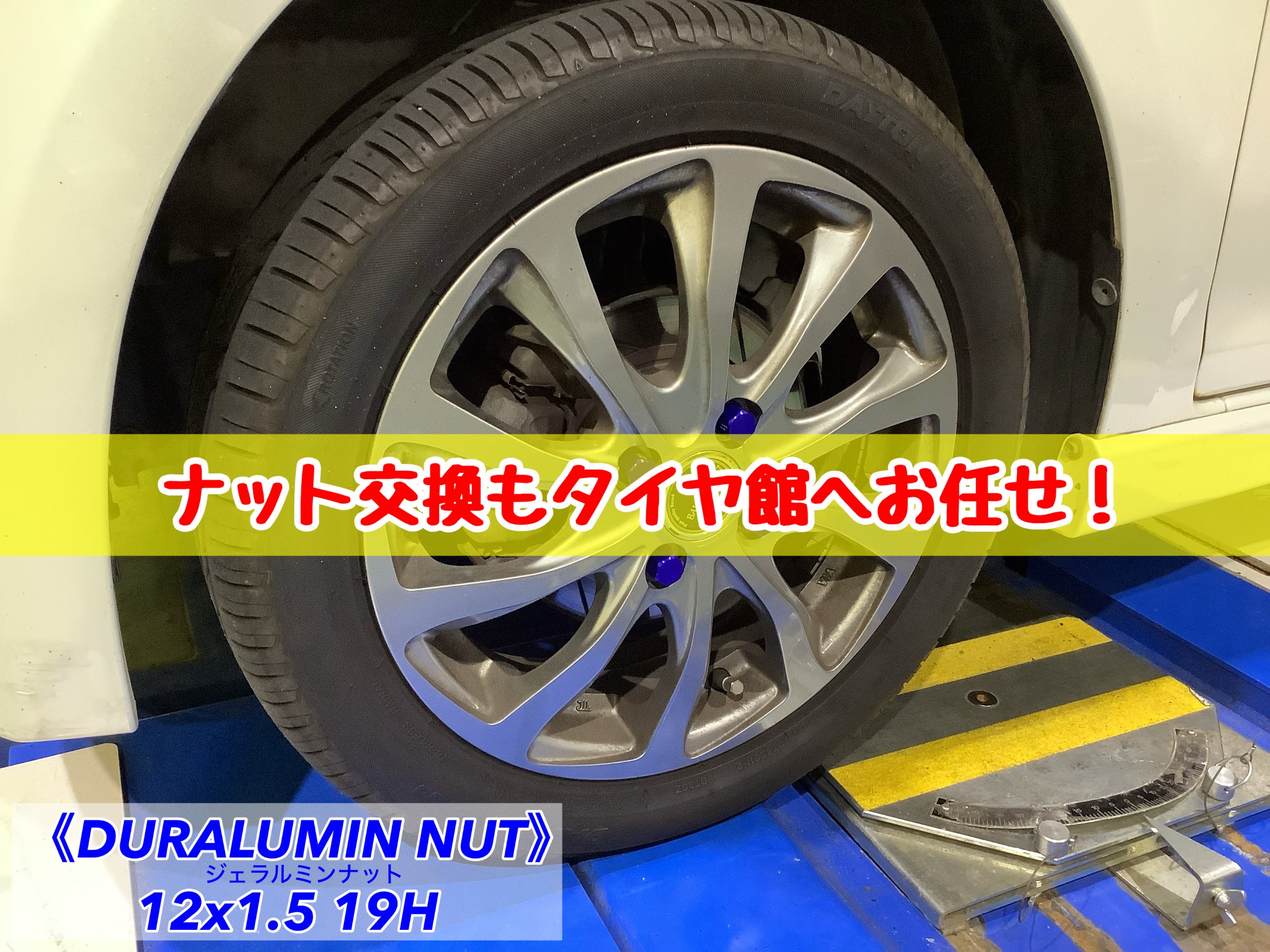 スタッフが撮影加工した画像