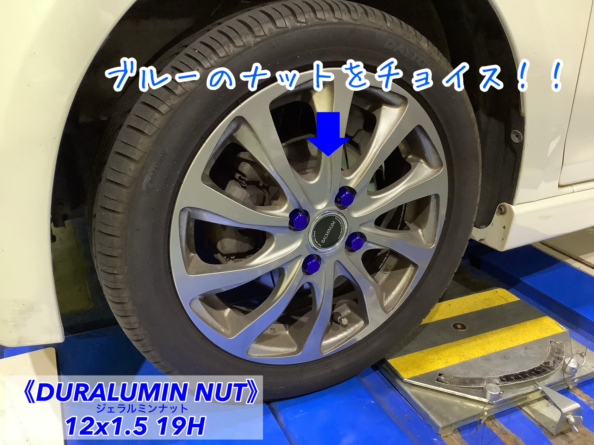 スタッフが撮影加工した画像