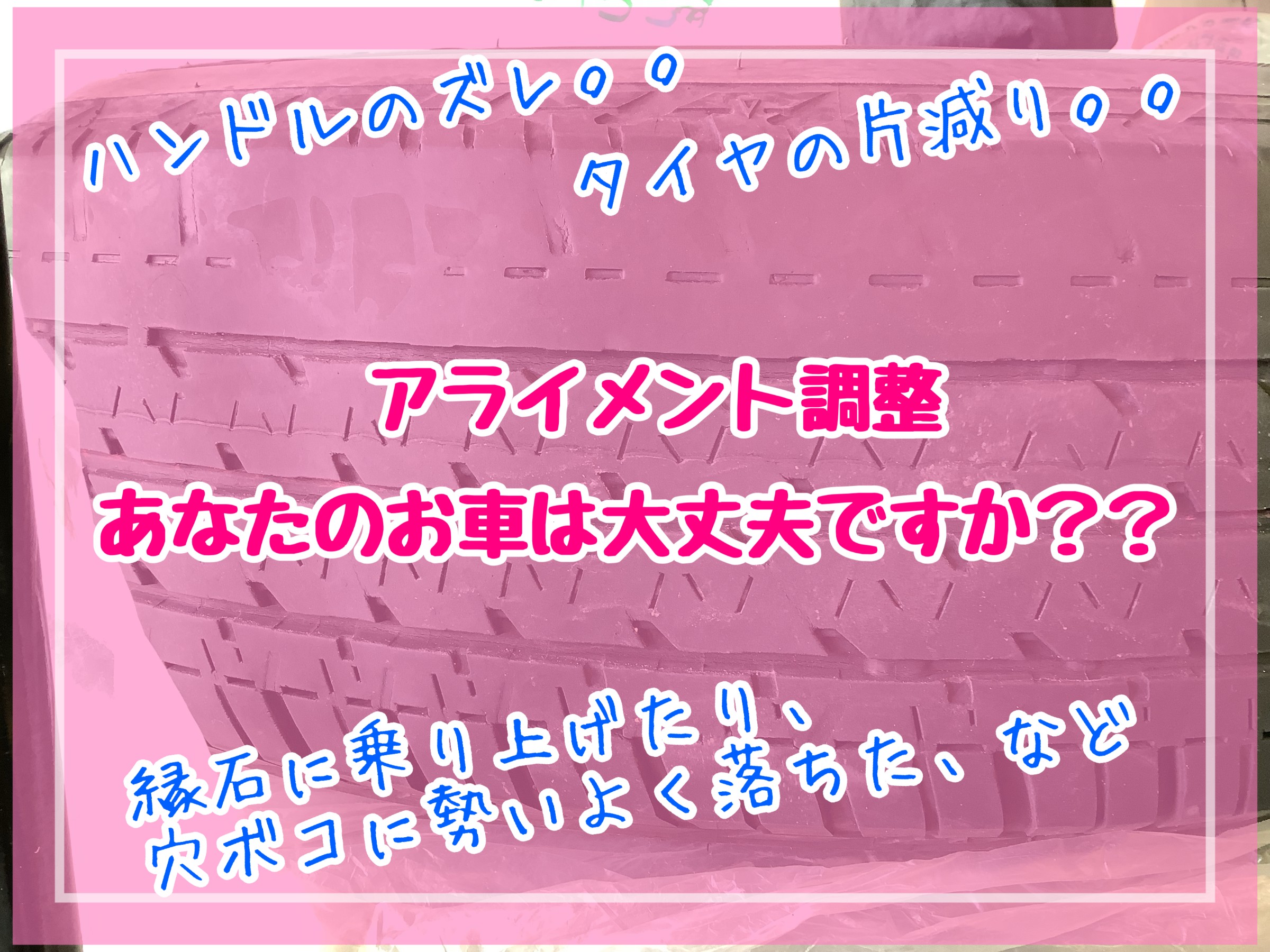 スタッフが撮影加工した画像