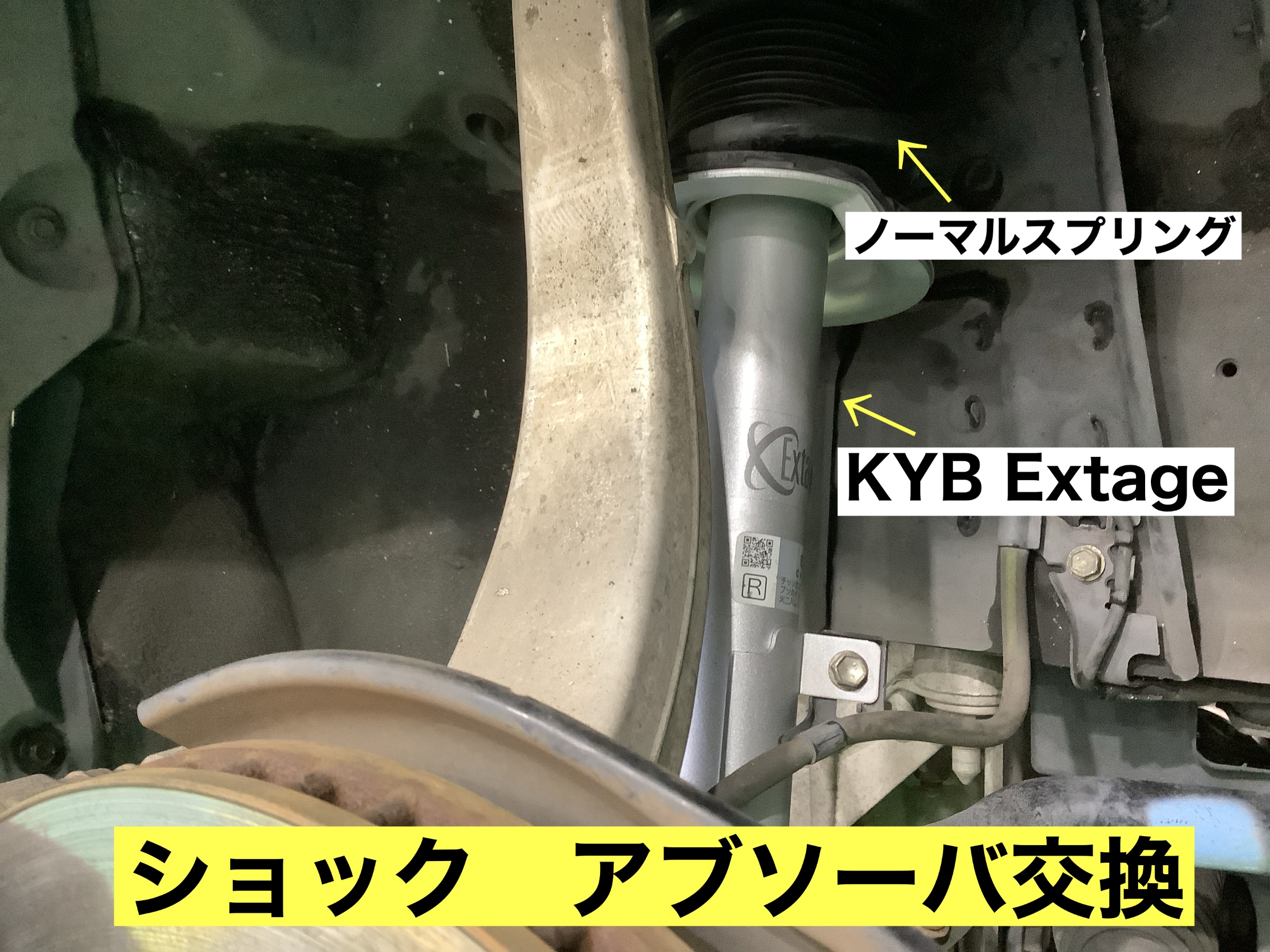 スタッフが撮影