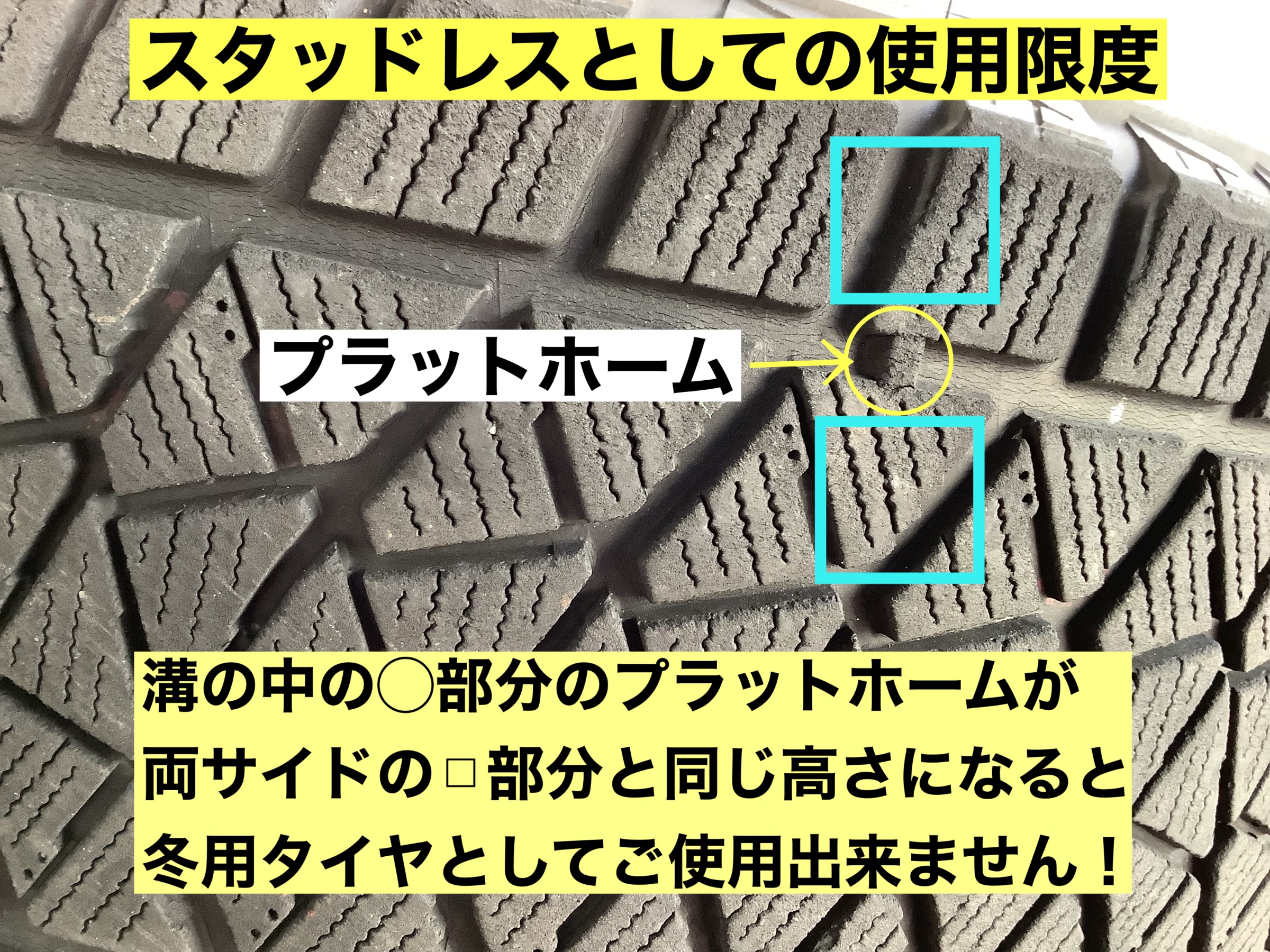 スタッフが撮影