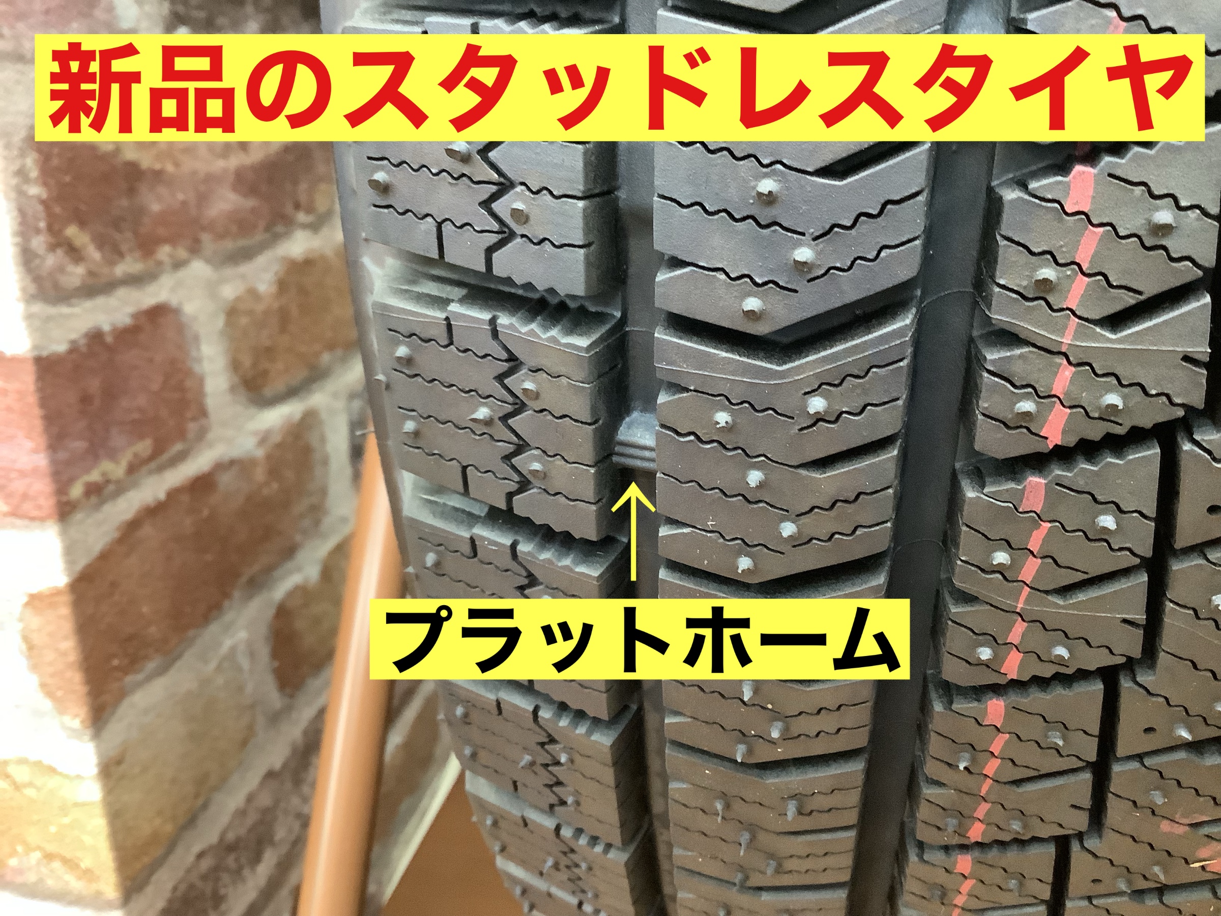 スタッフが撮影