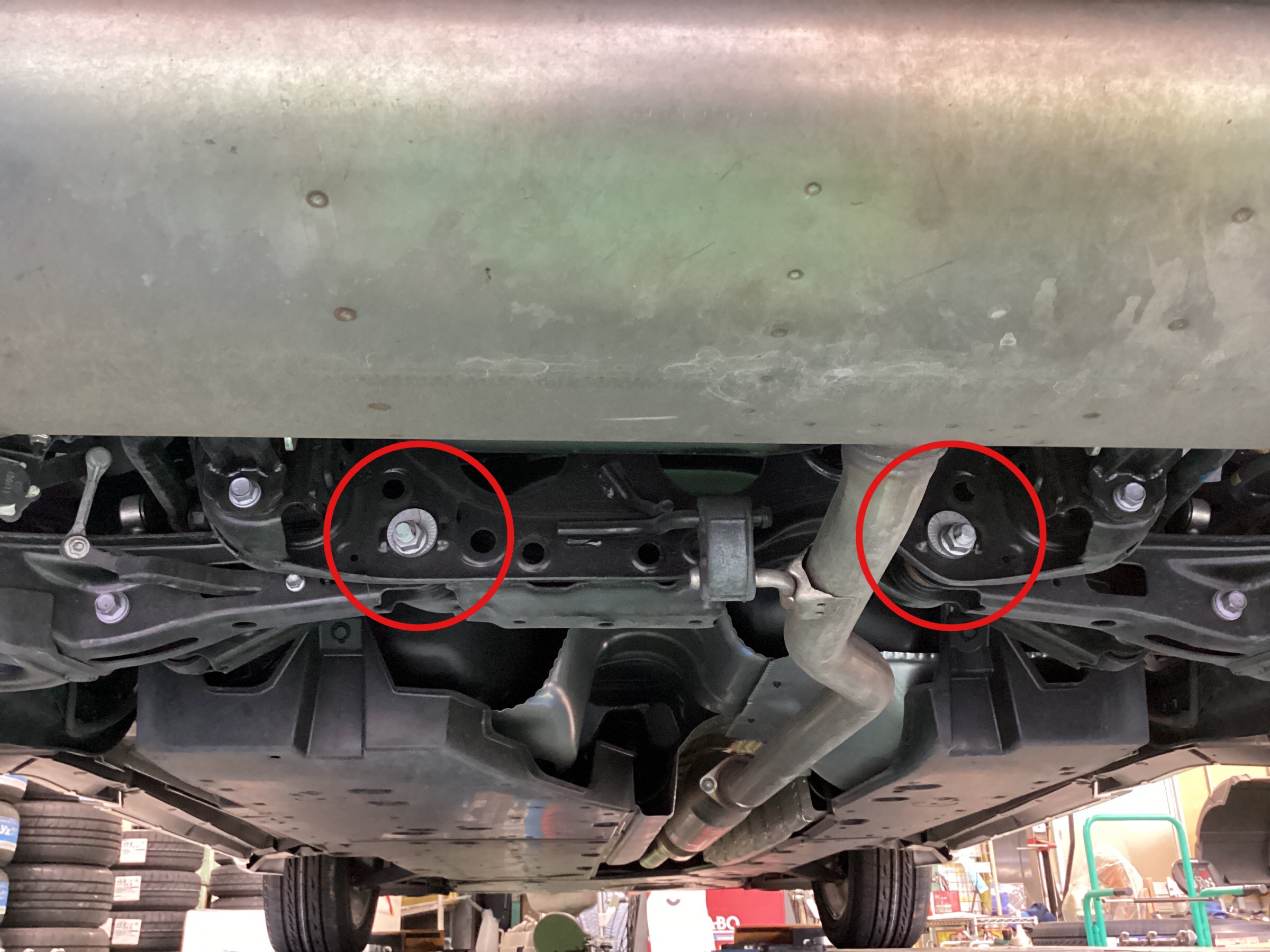 スタッフ撮影分