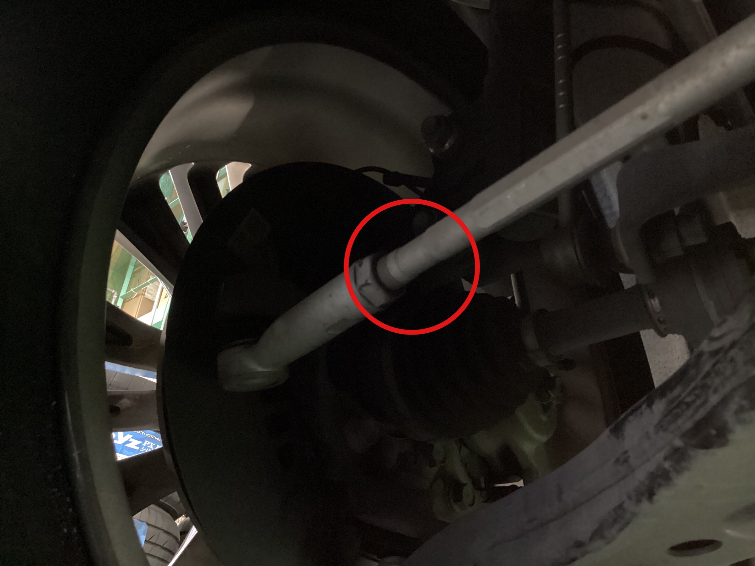 スタッフ撮影分