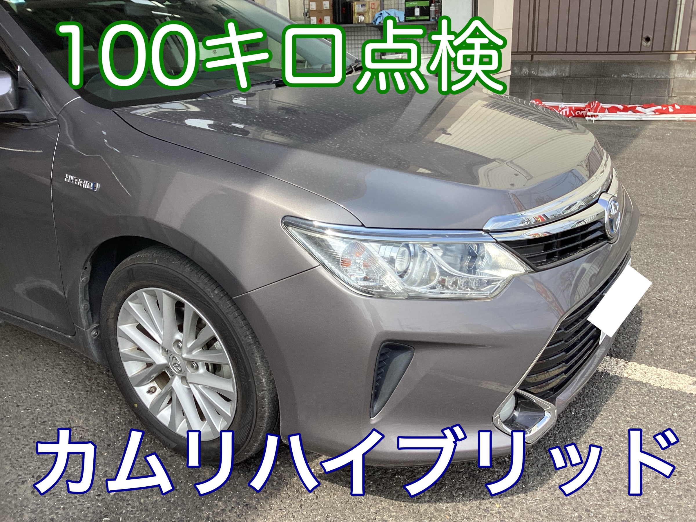 自店スタッフ撮影