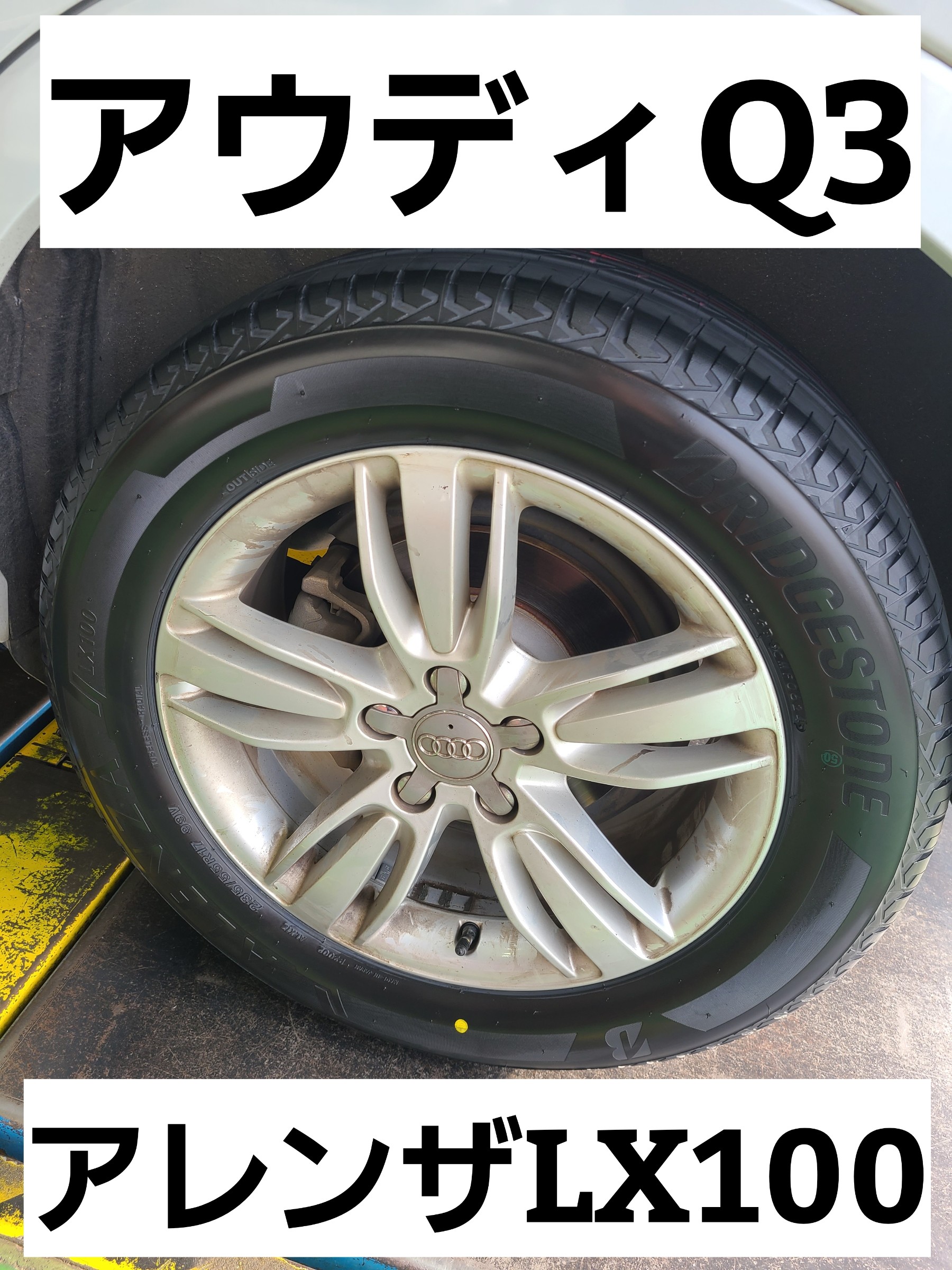 スタッフが撮影しました。