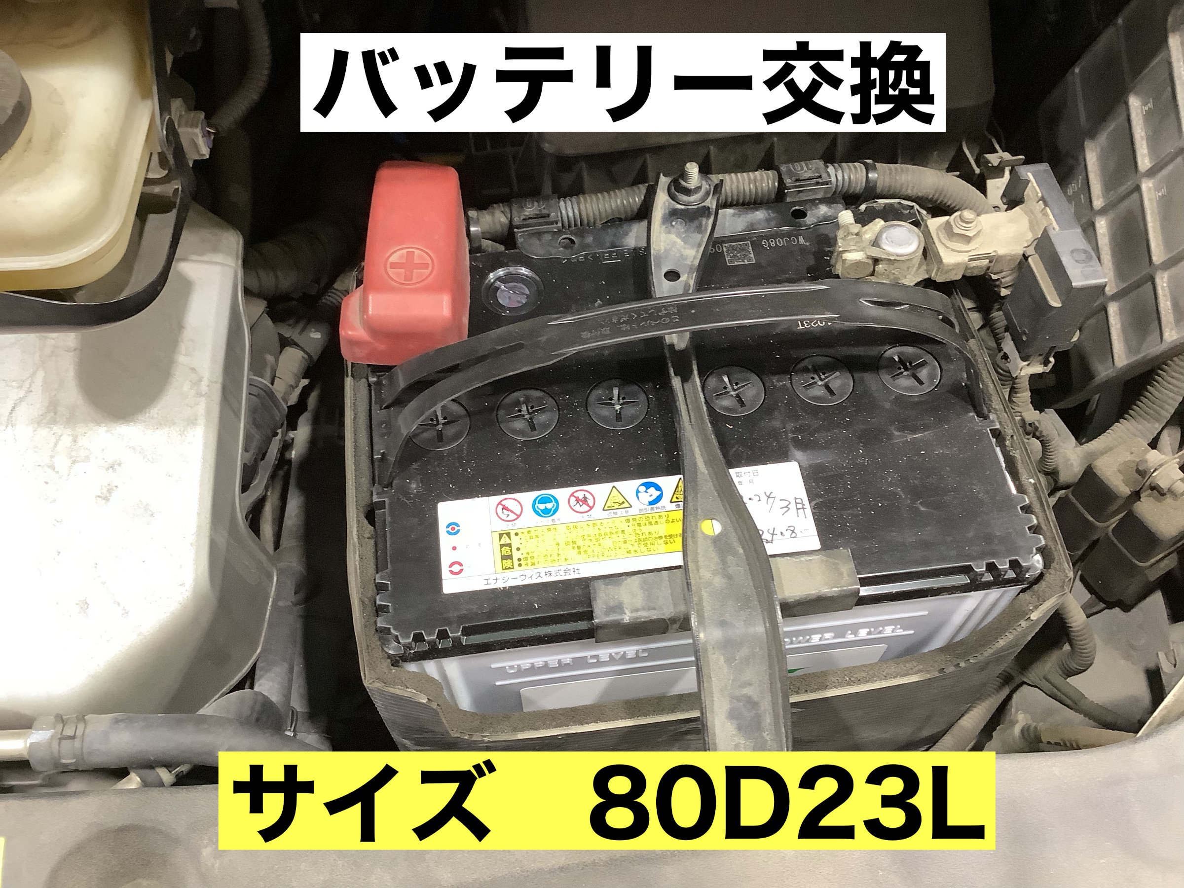 スタッフが撮影