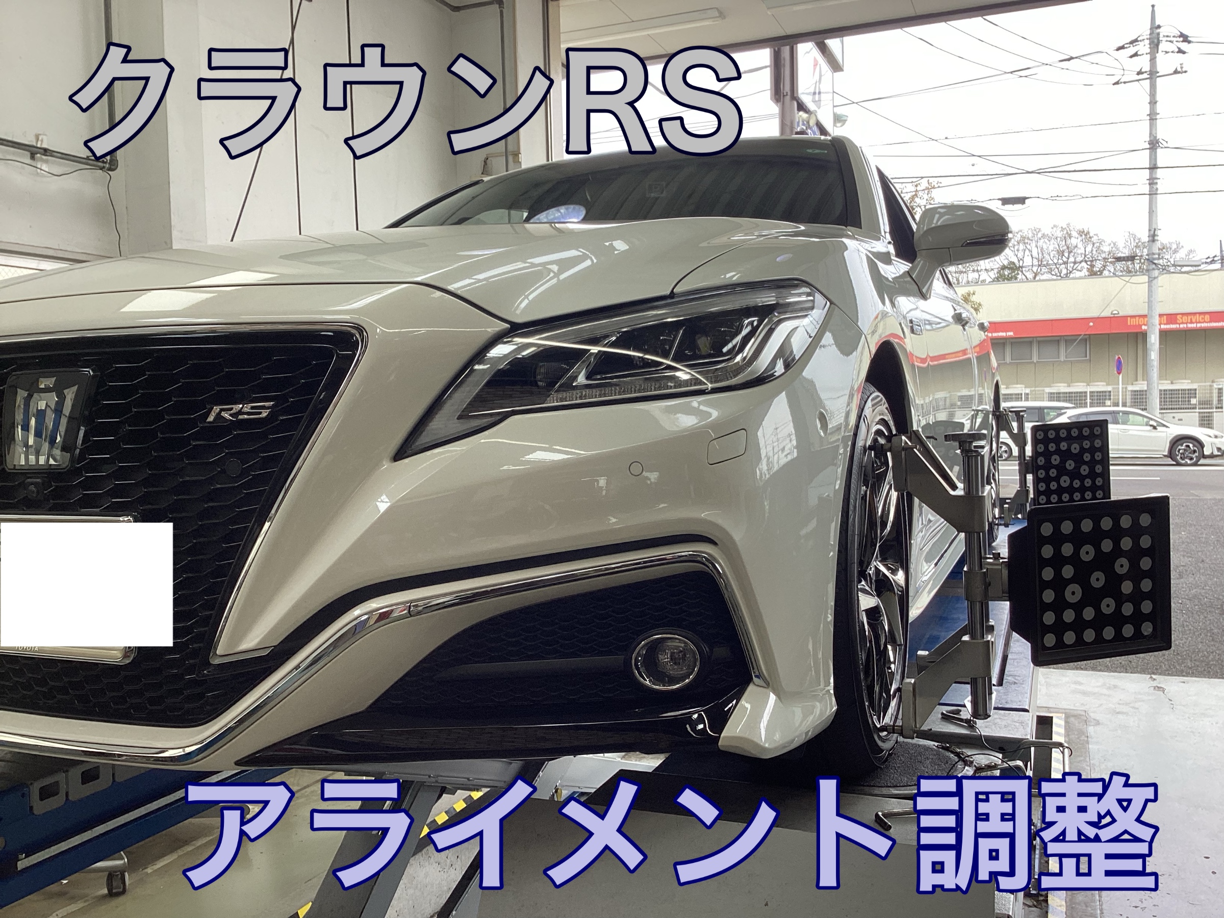 スタッフ撮影画像