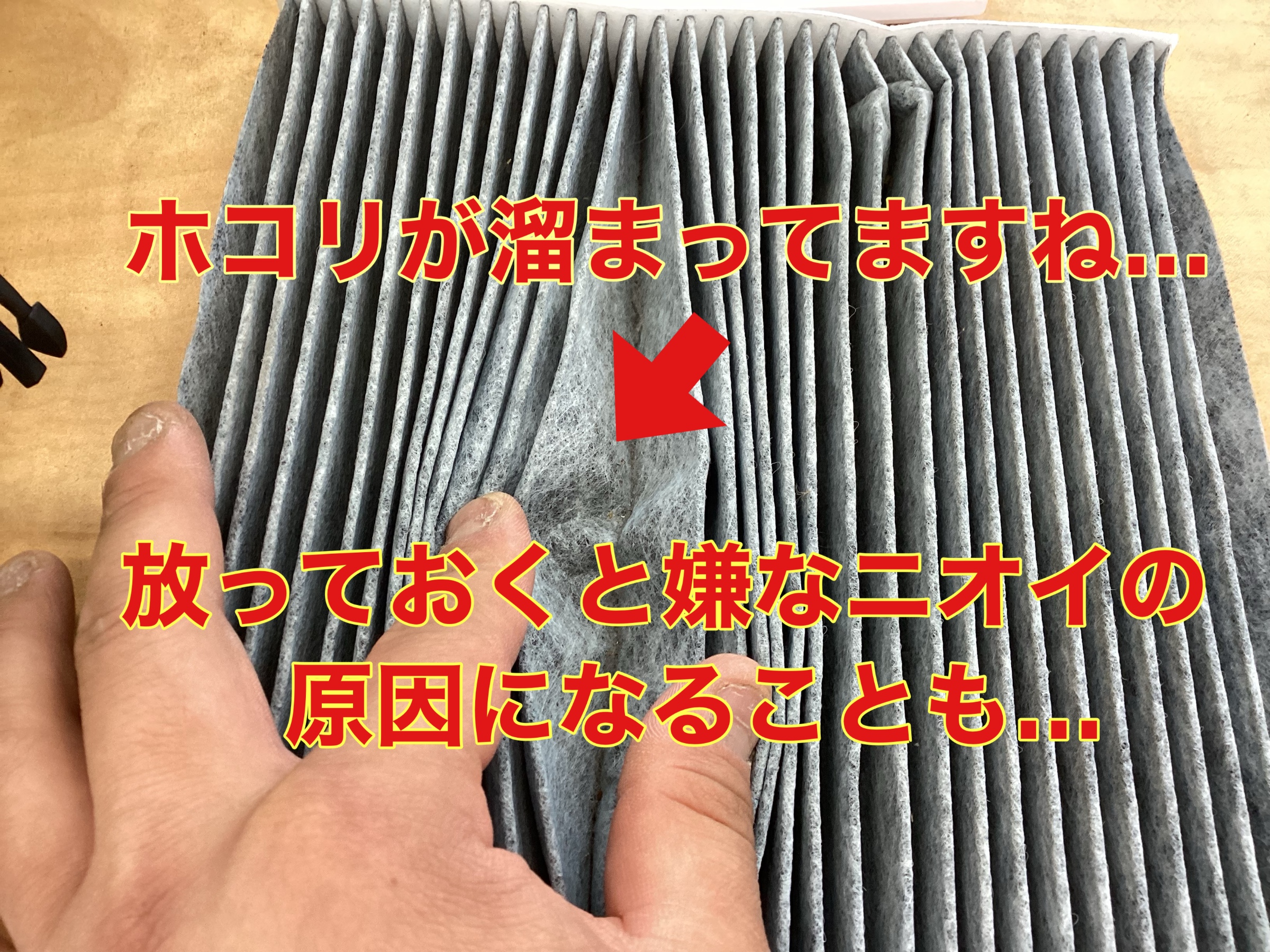 スタッフ撮影。無料画像編集アプリにて編集