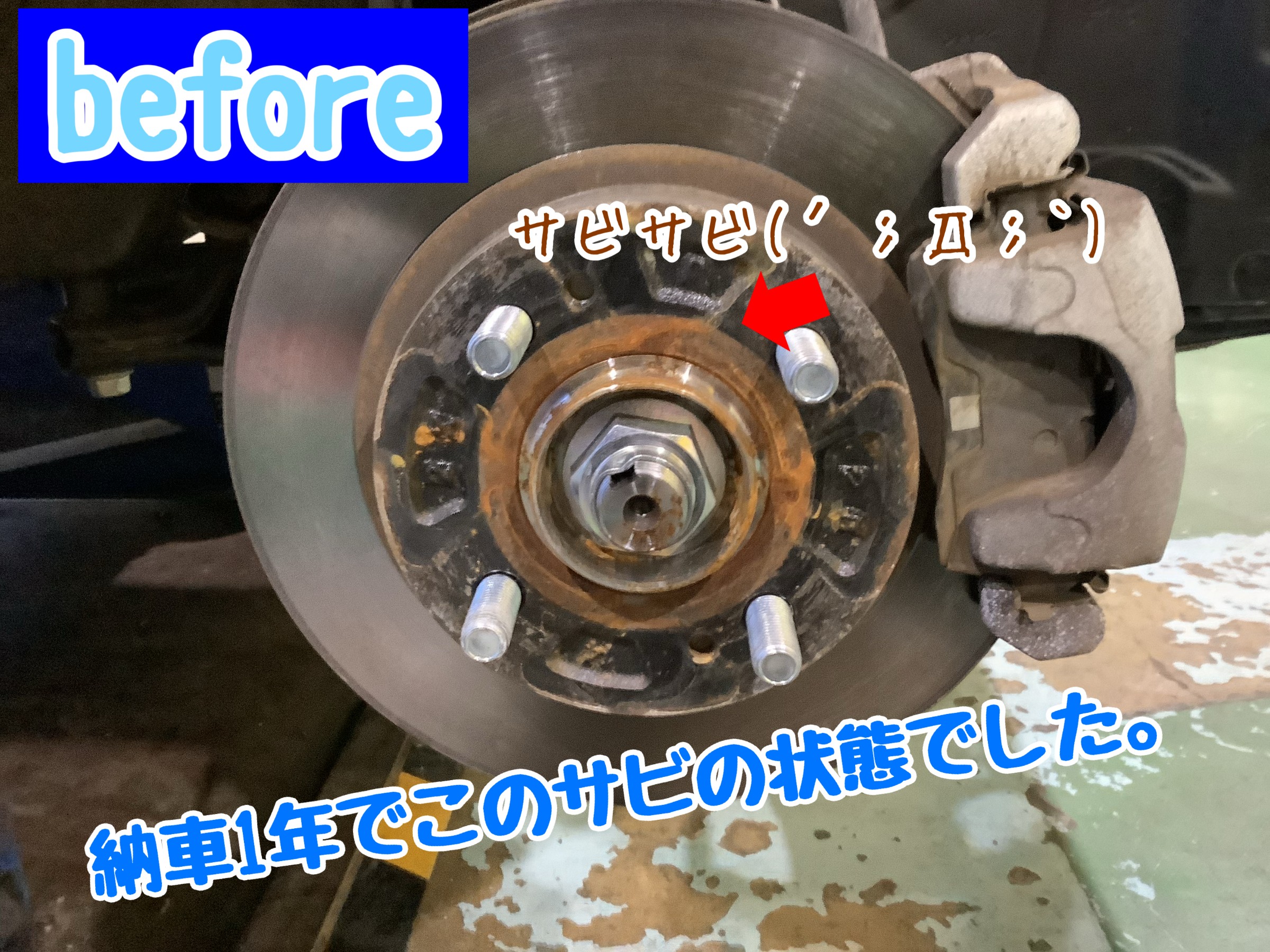 スタッフが撮影加工した画像