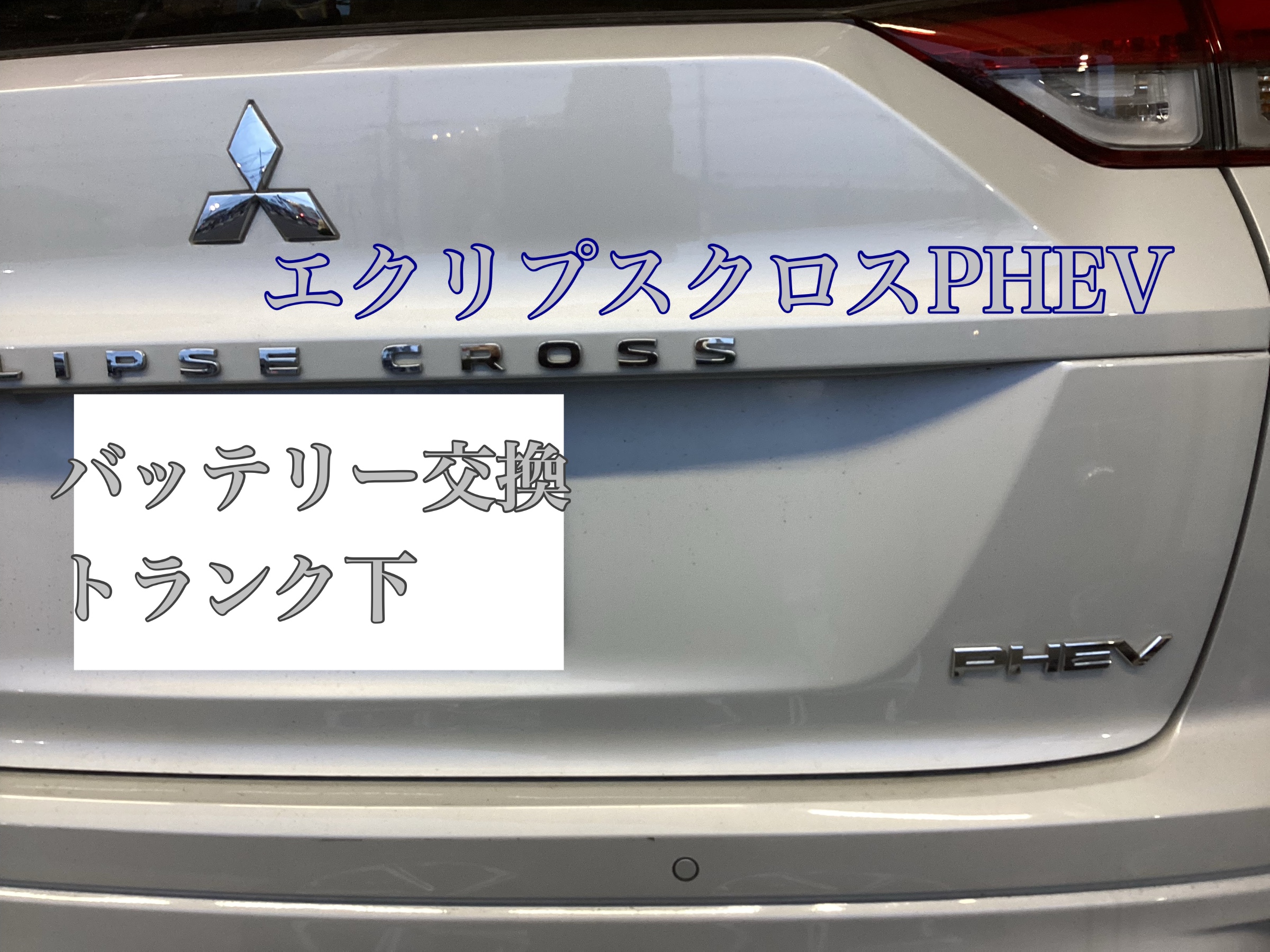 スタッフ撮影