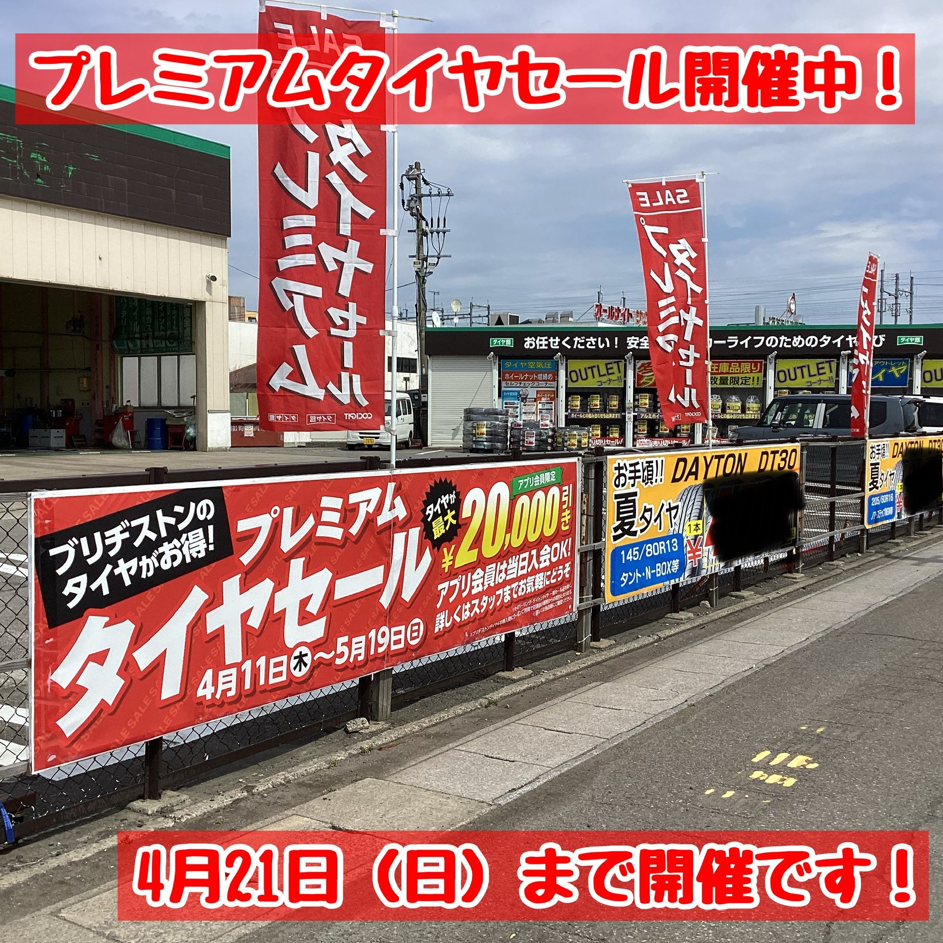 スタッフが撮影加工した画像