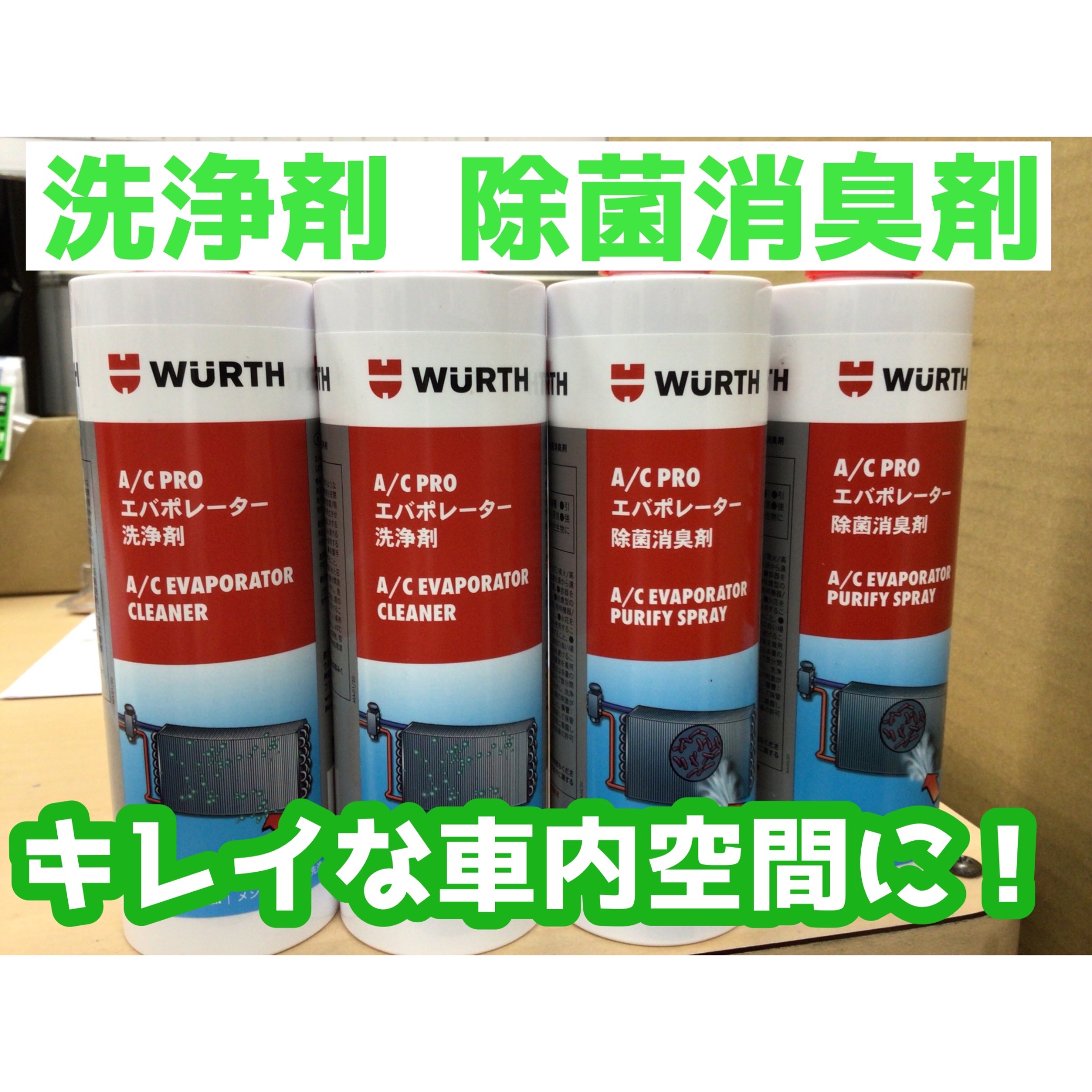 スタッフ撮影分