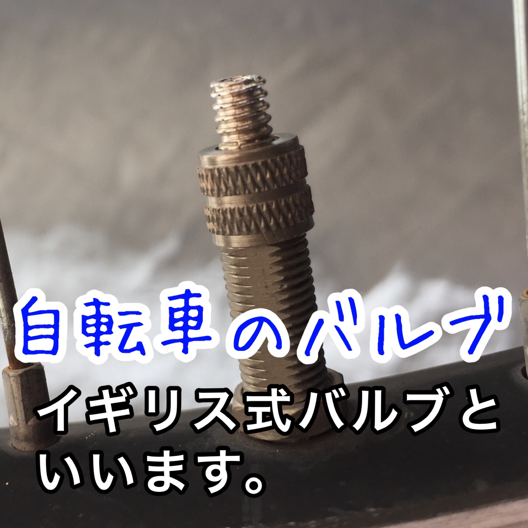 自宅の空気入れでタイヤに空気を入れてみる スタッフ日記 タイヤ館 一宮バイパス 愛知県 三重県のタイヤ カー用品ショップ タイヤからはじまる トータルカーメンテナンス タイヤ館グループ