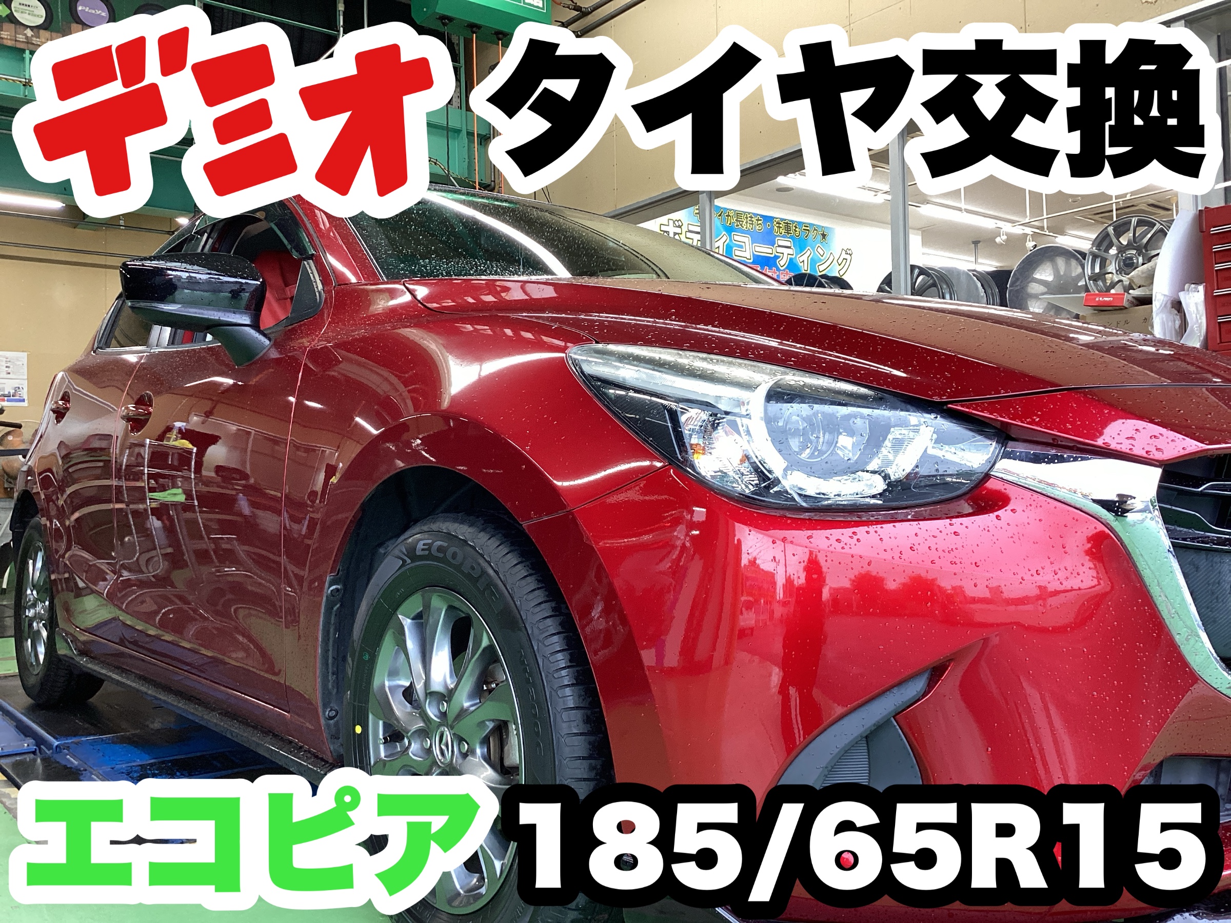 スタッフ撮影分