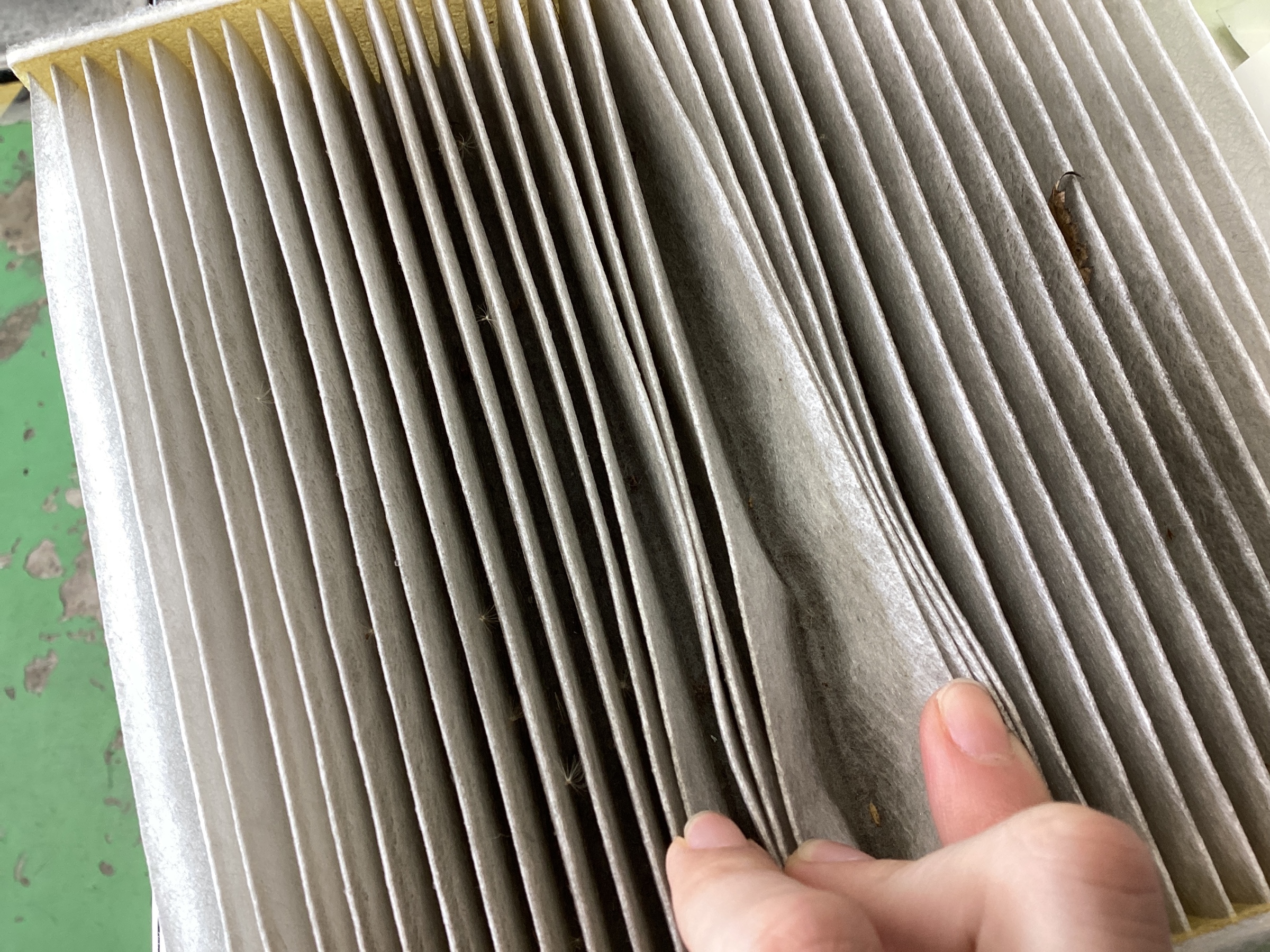 スタッフ撮影分