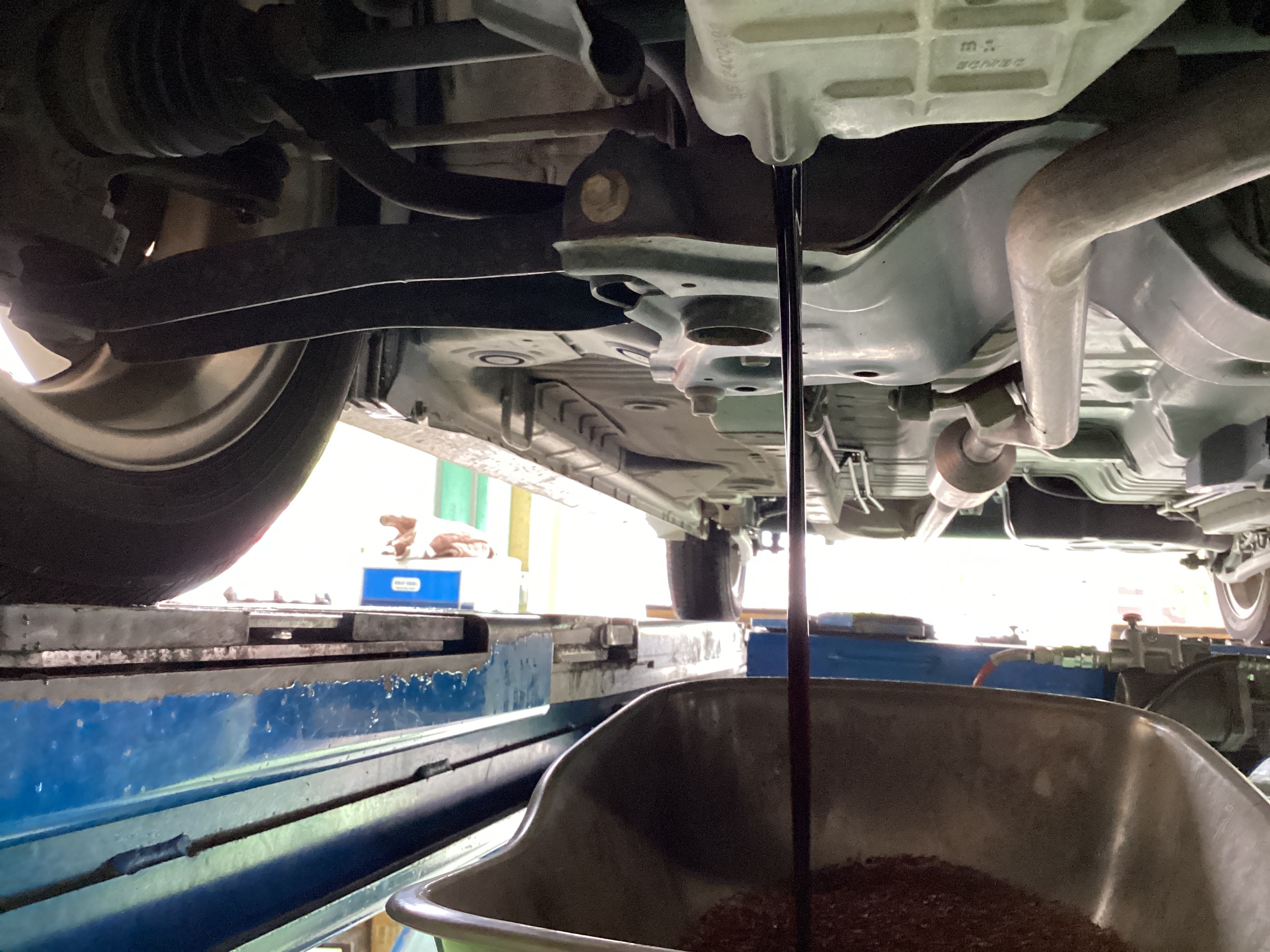 スタッフ撮影分