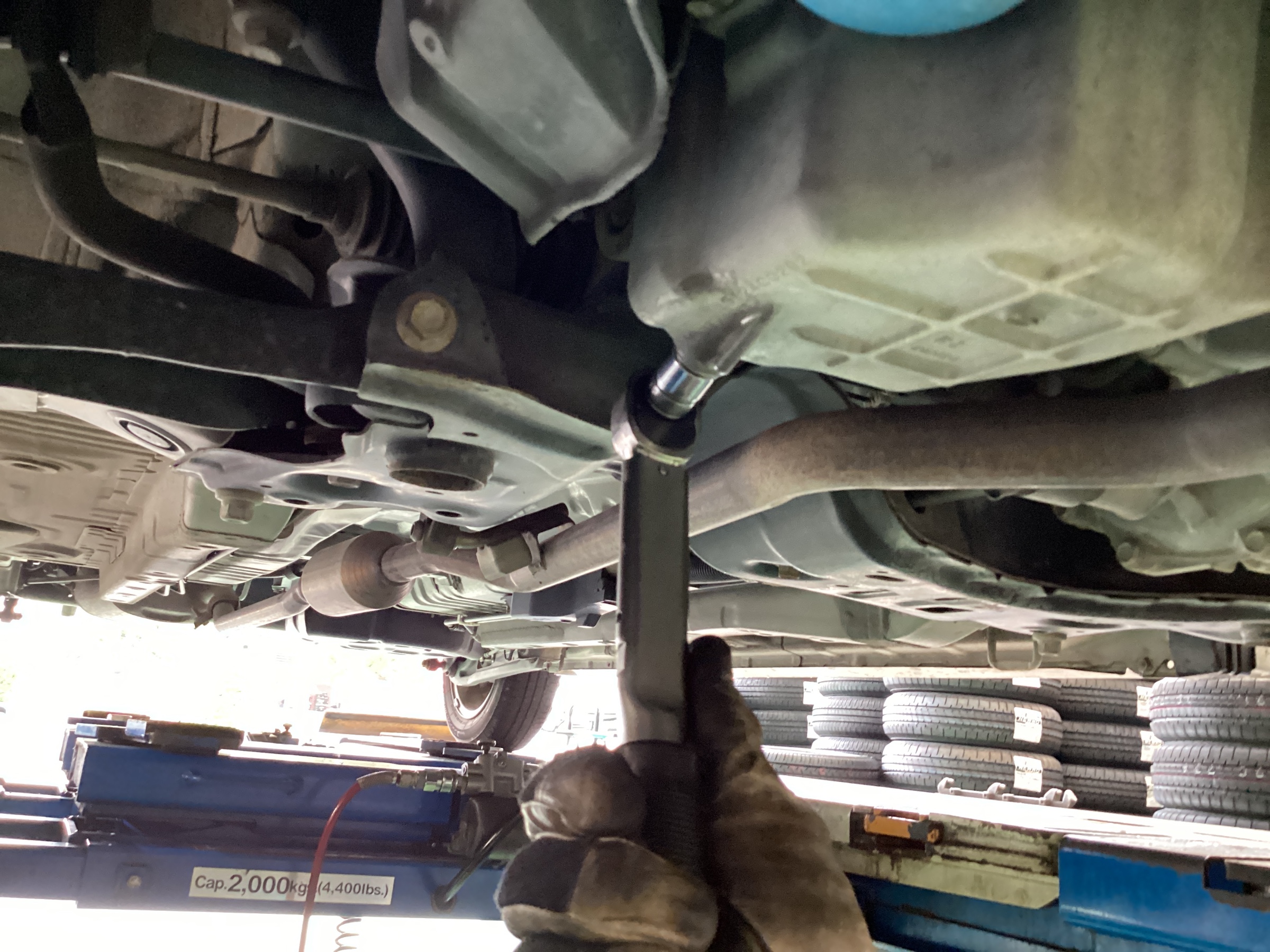 スタッフ撮影分