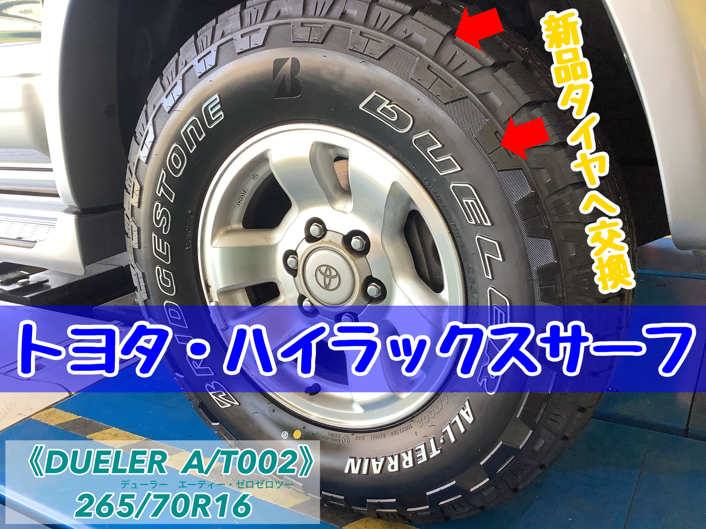 スタッフが撮影加工した画像