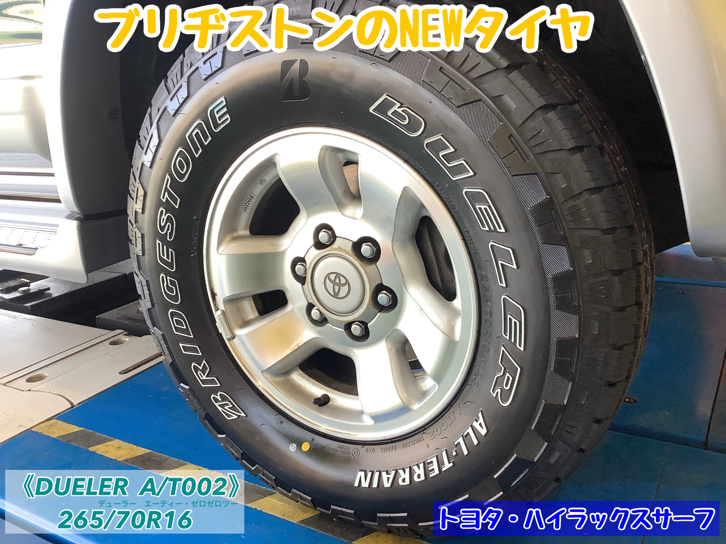 スタッフが撮影加工した画像
