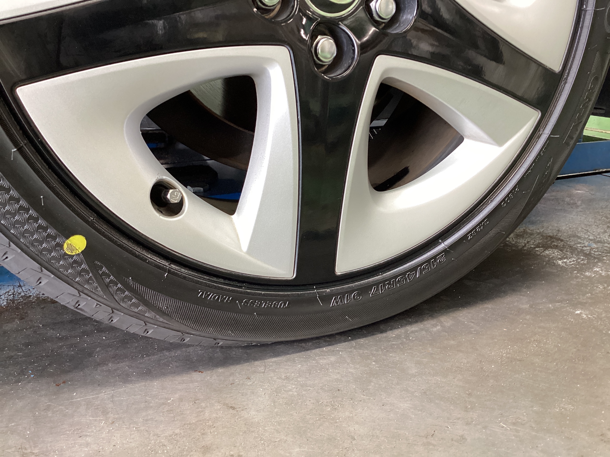 スタッフ撮影分