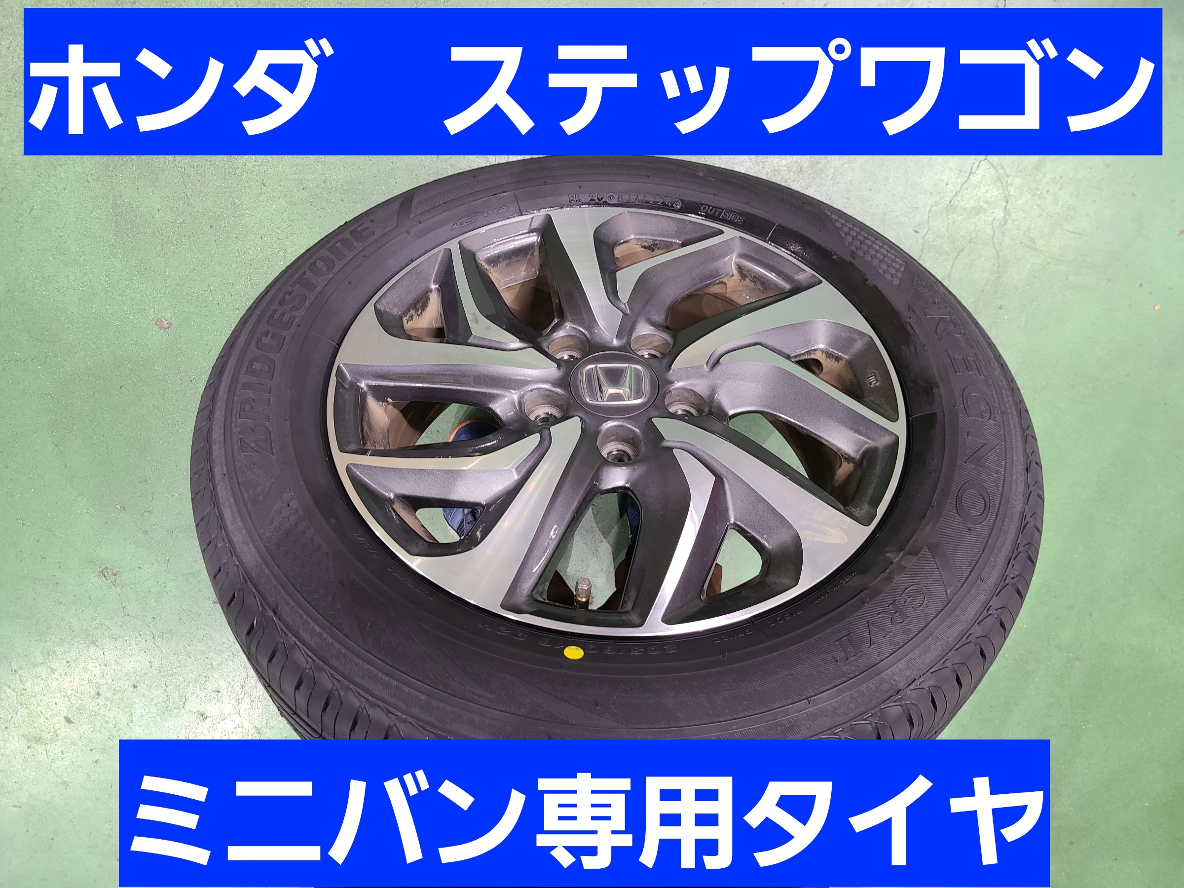 スタッフが撮影しました。