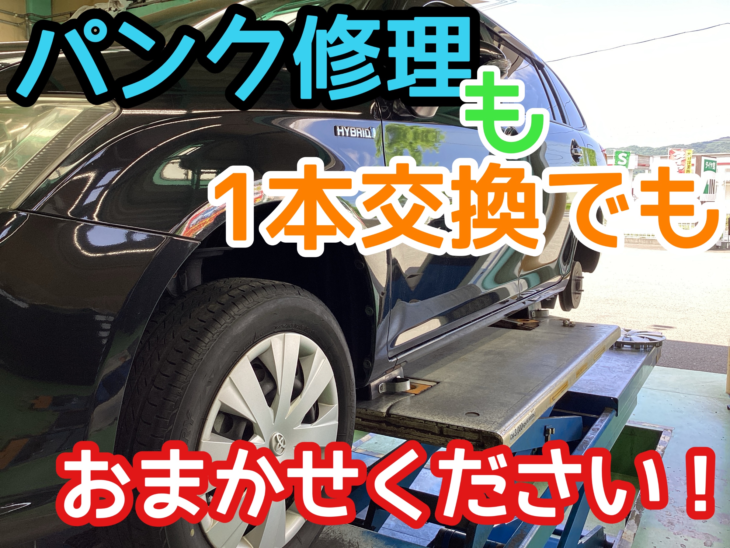 スタッフ撮影分