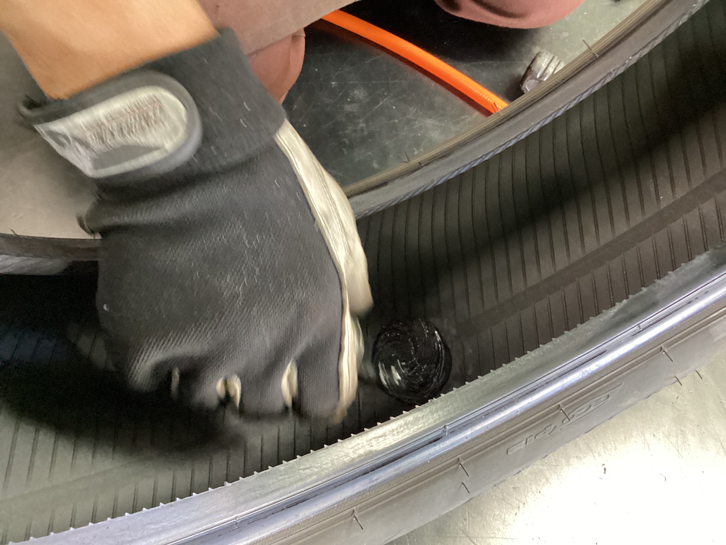 スタッフ撮影分