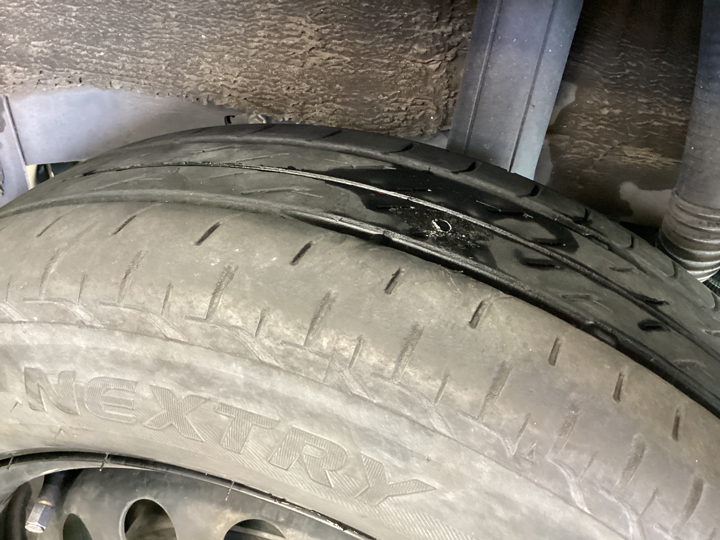 スタッフ撮影分