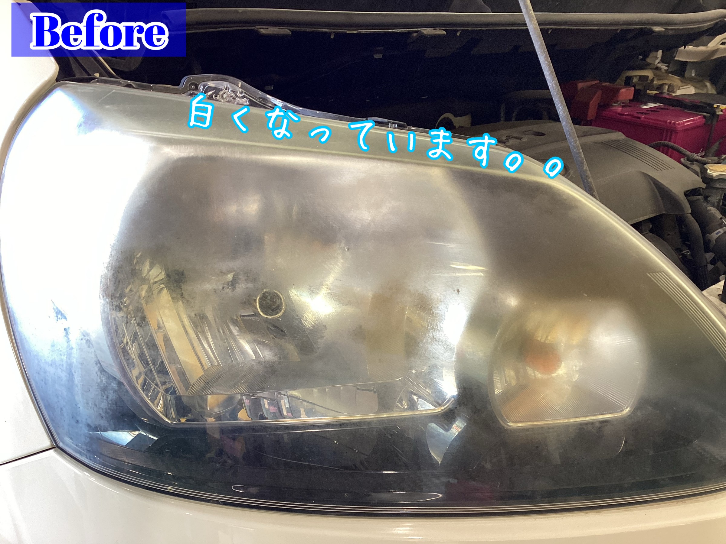 スタッフが撮影加工した画像