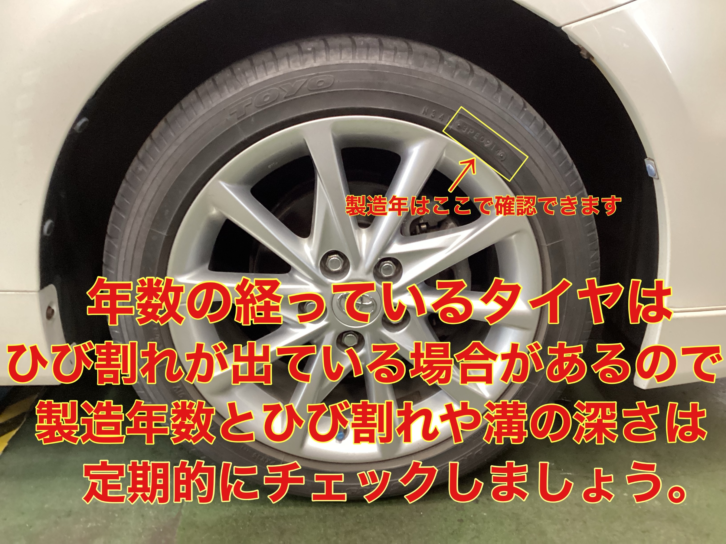 スタッフ撮影。無料画像編集アプリにて編集