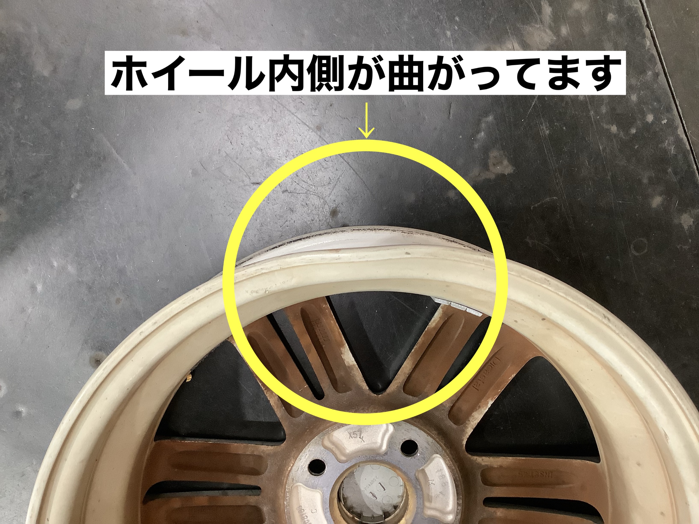 スタッフが撮影
