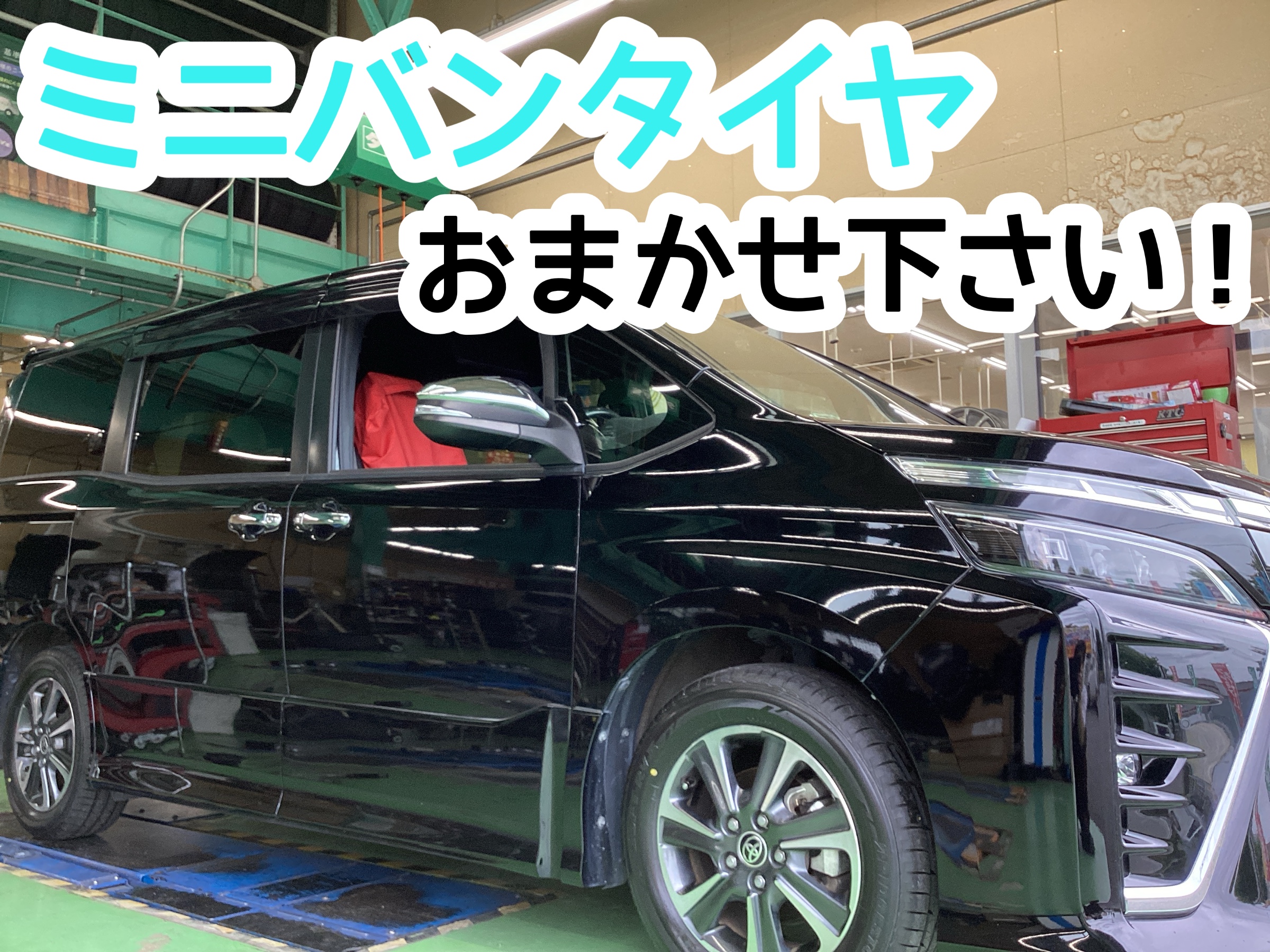 スタッフ撮影分