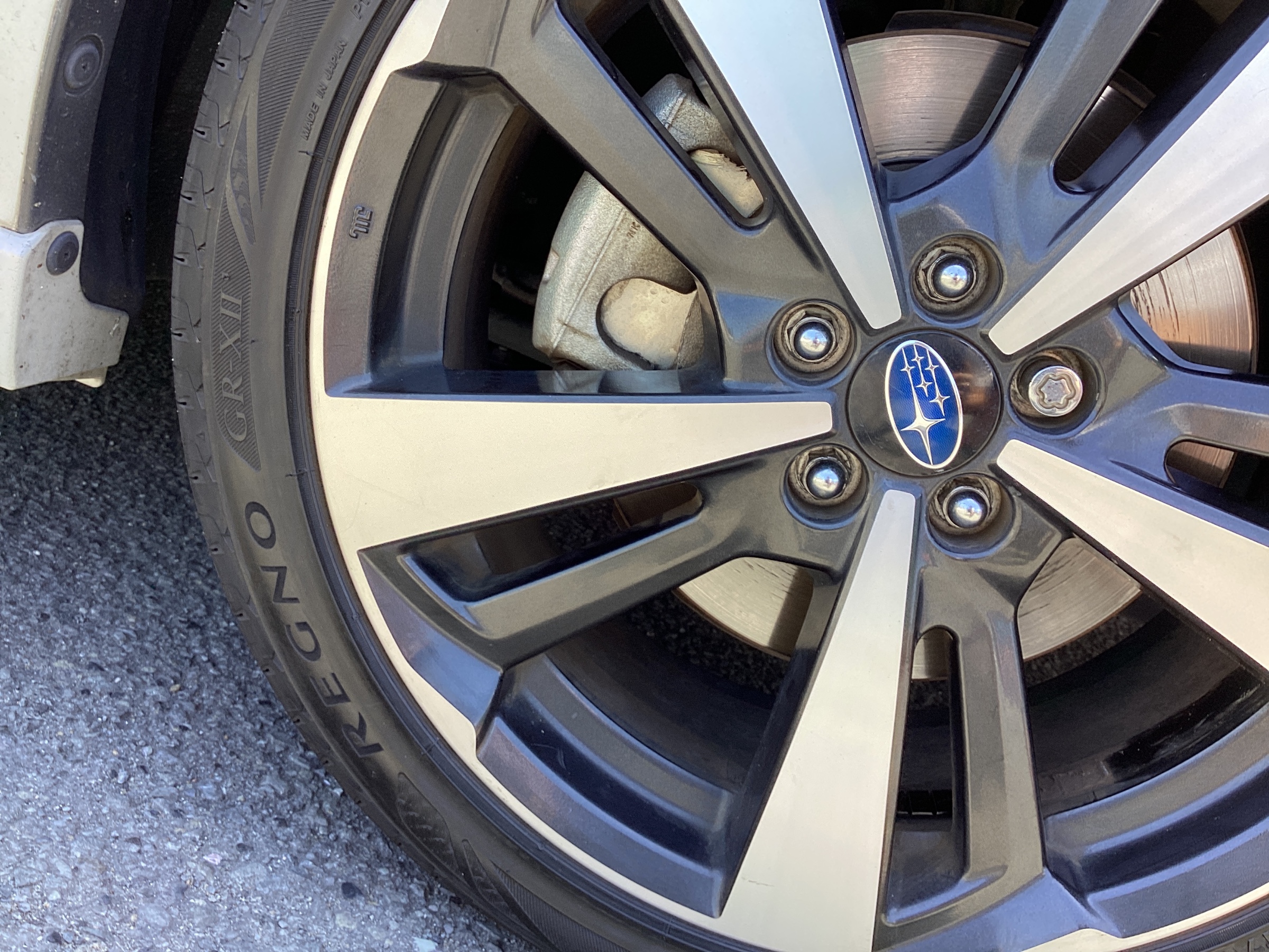 スタッフ撮影分