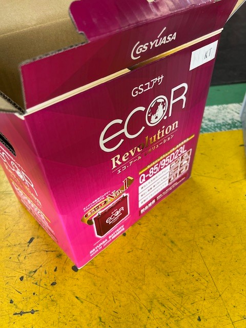 スタッフ撮影です。