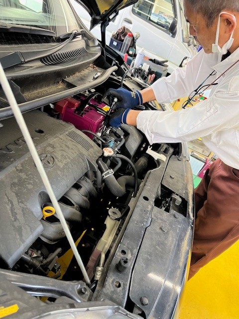 スタッフ撮影です。