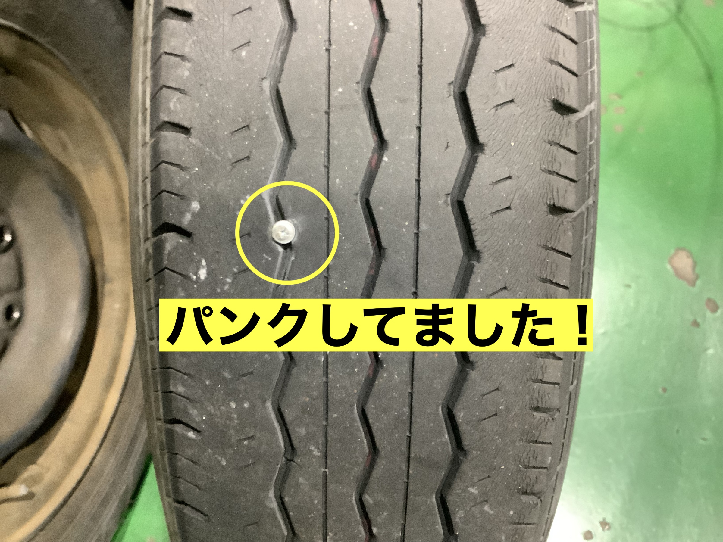 スタッフが撮影